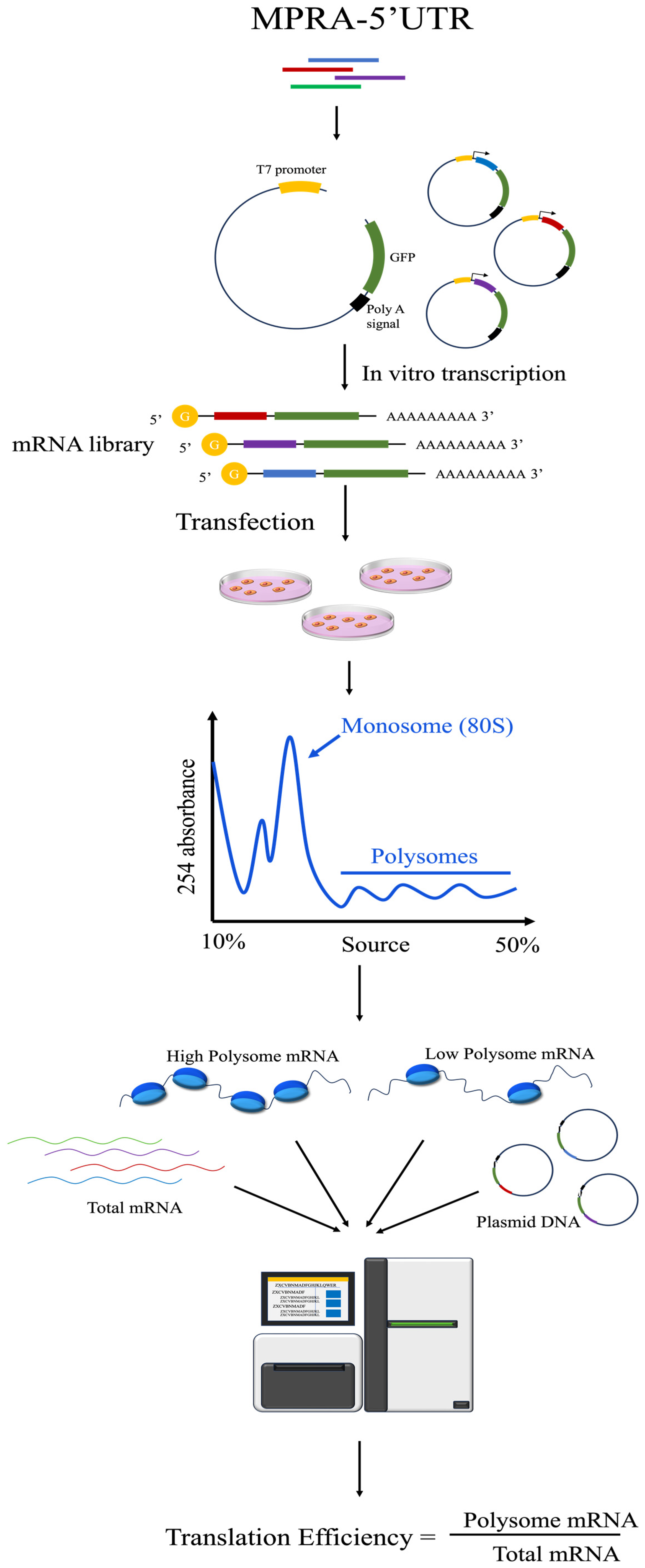 Biomolecules 14 00945 g004