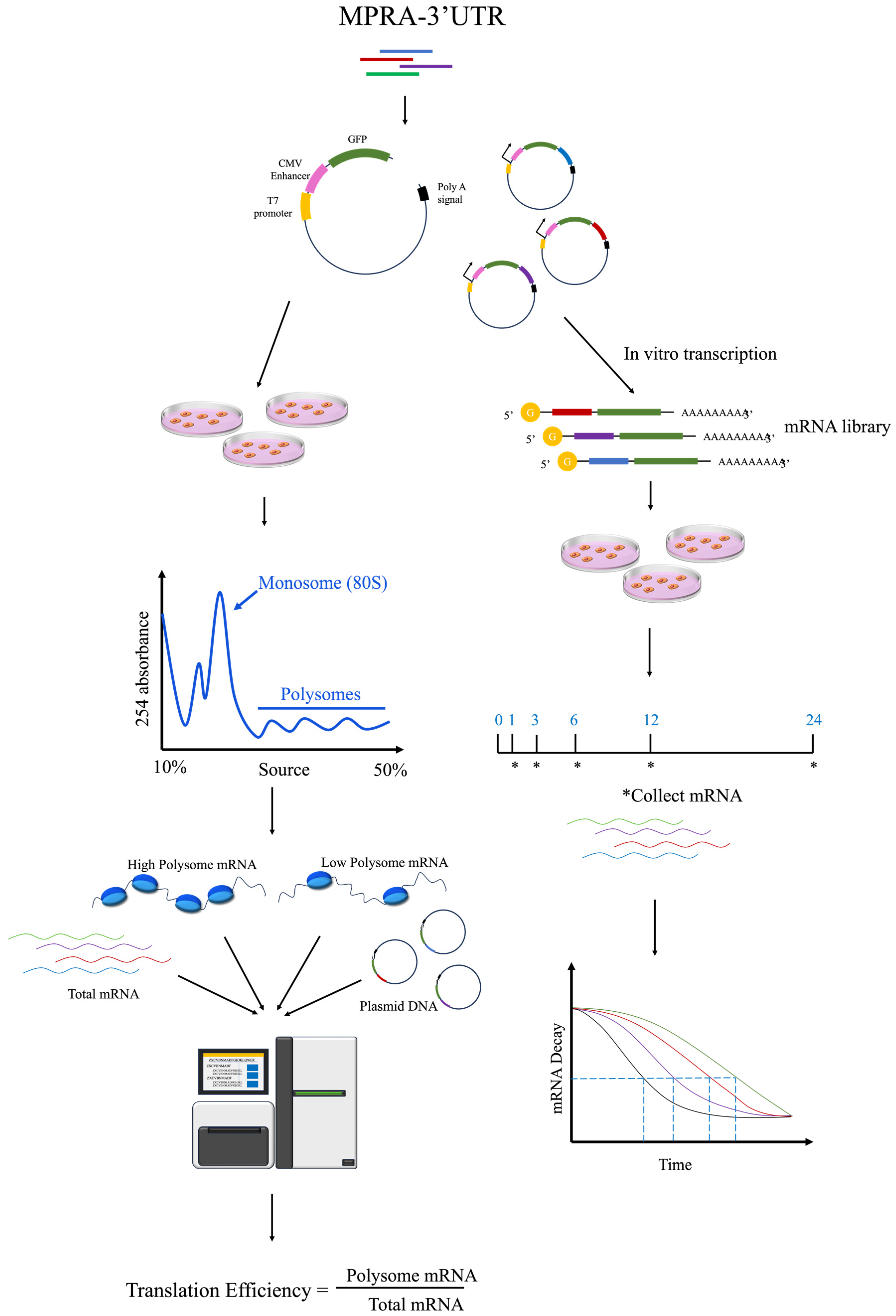 Biomolecules 14 00945 g005