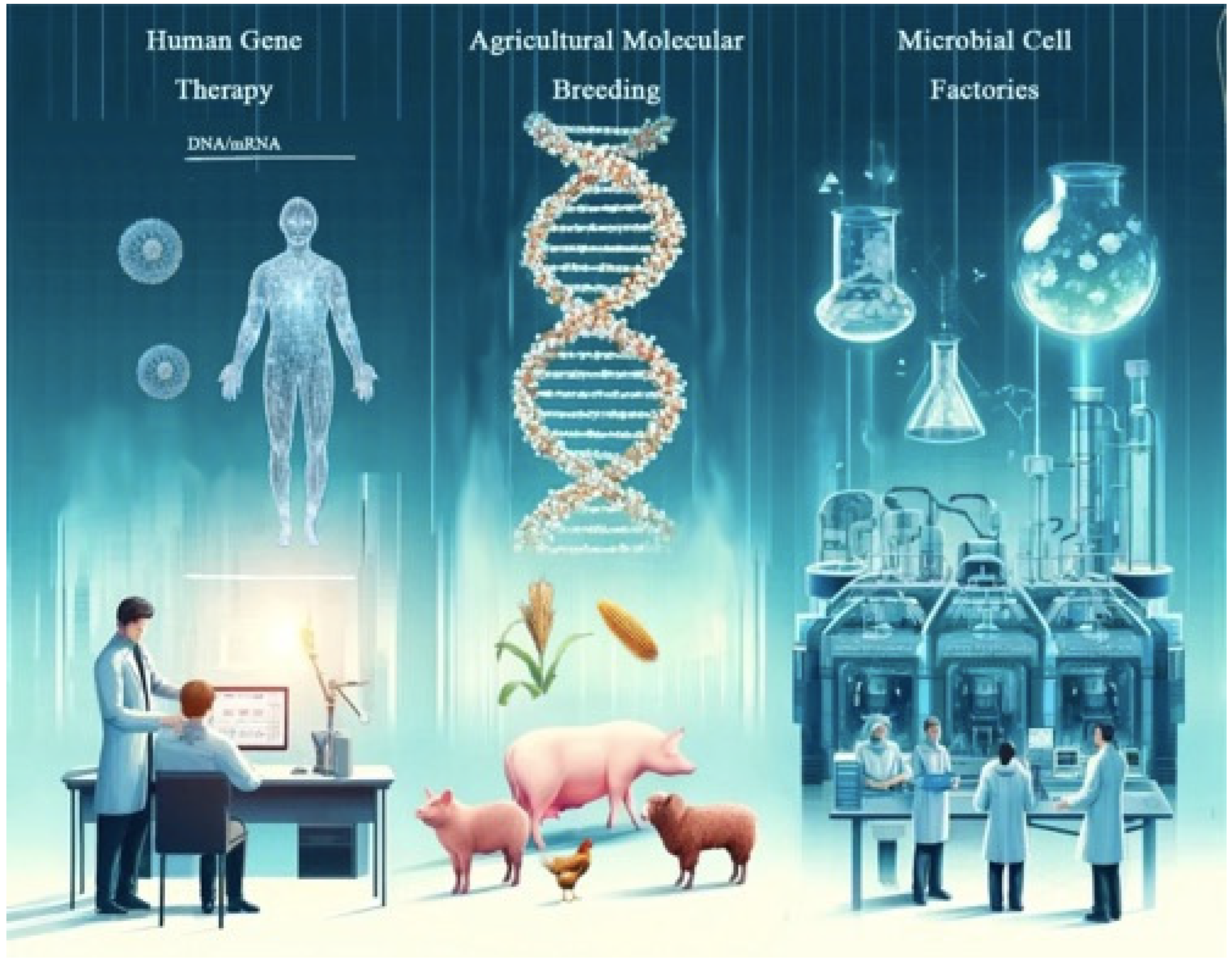 Biomolecules 14 00945 g006