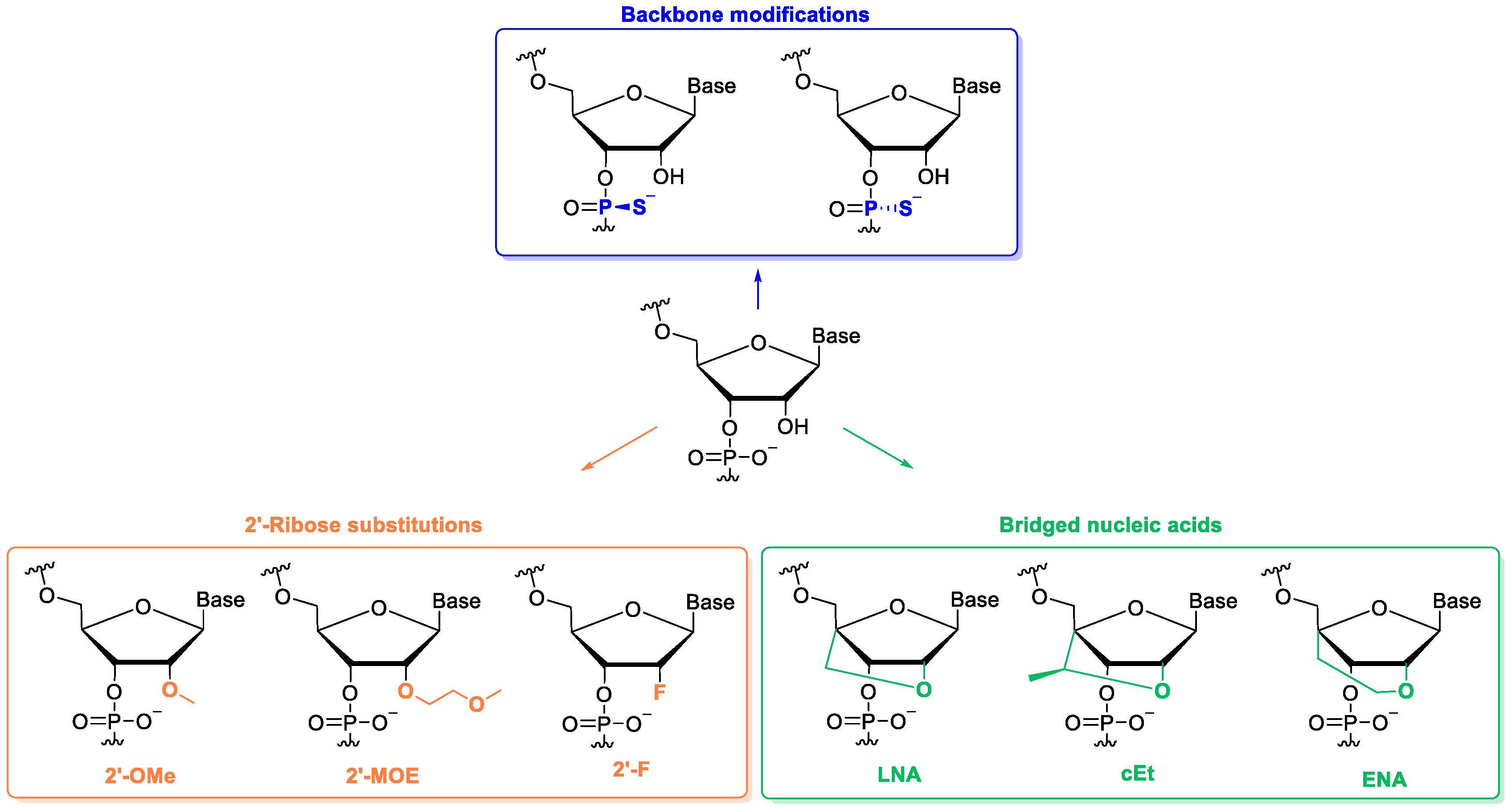 Biomolecules 14 00949 g001