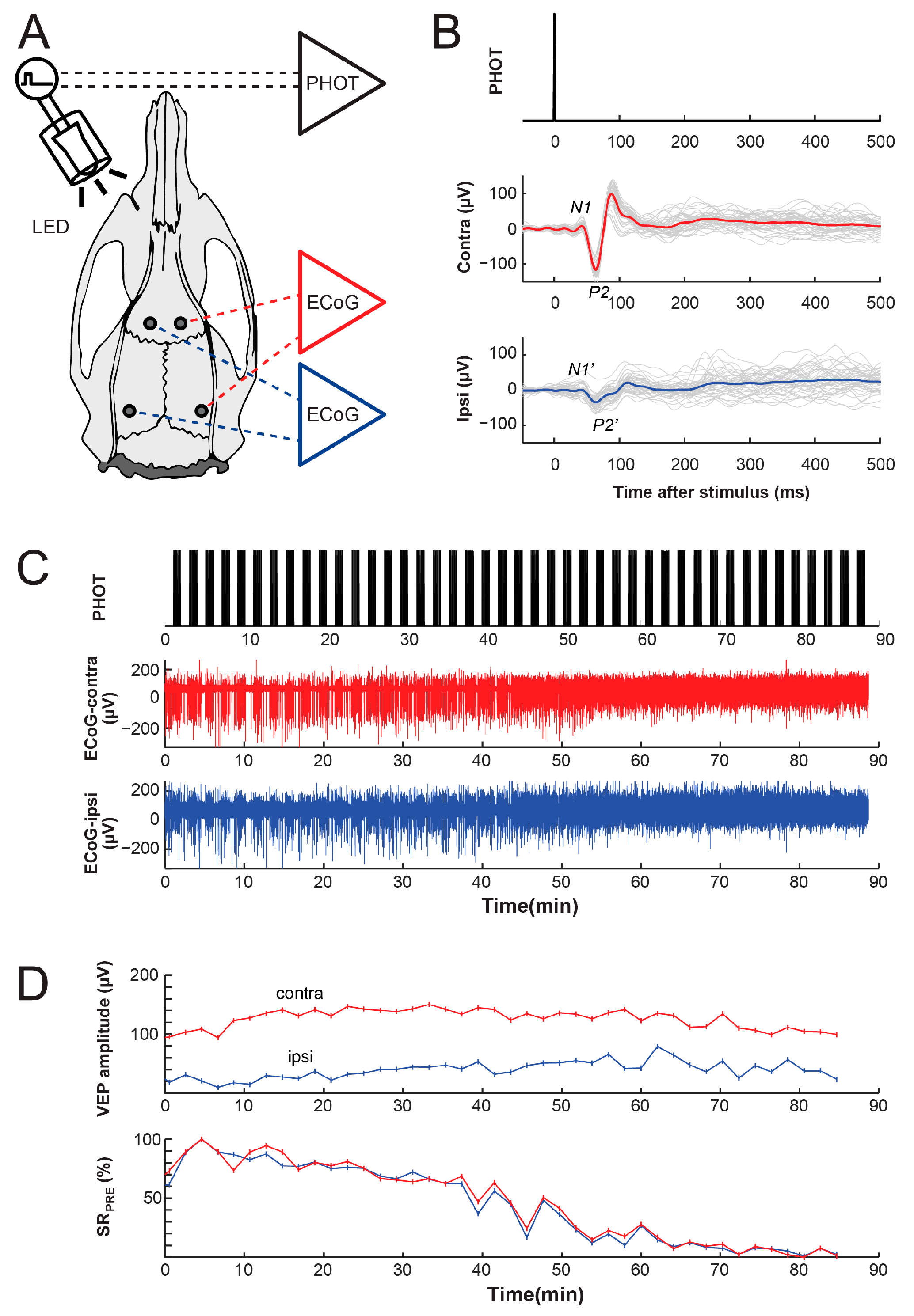 Biomolecules 14 00953 g001
