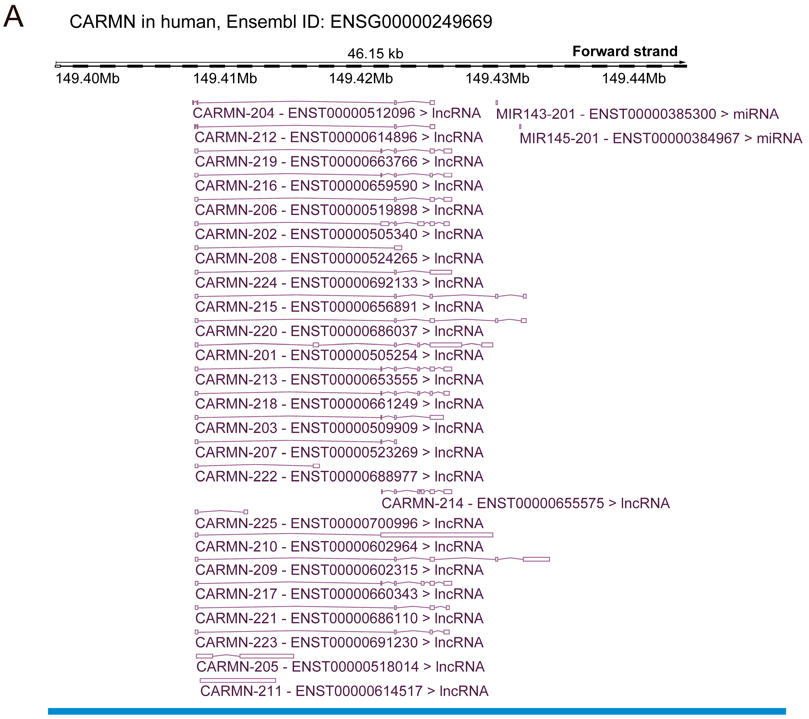 Biomolecules 14 00954 g001a