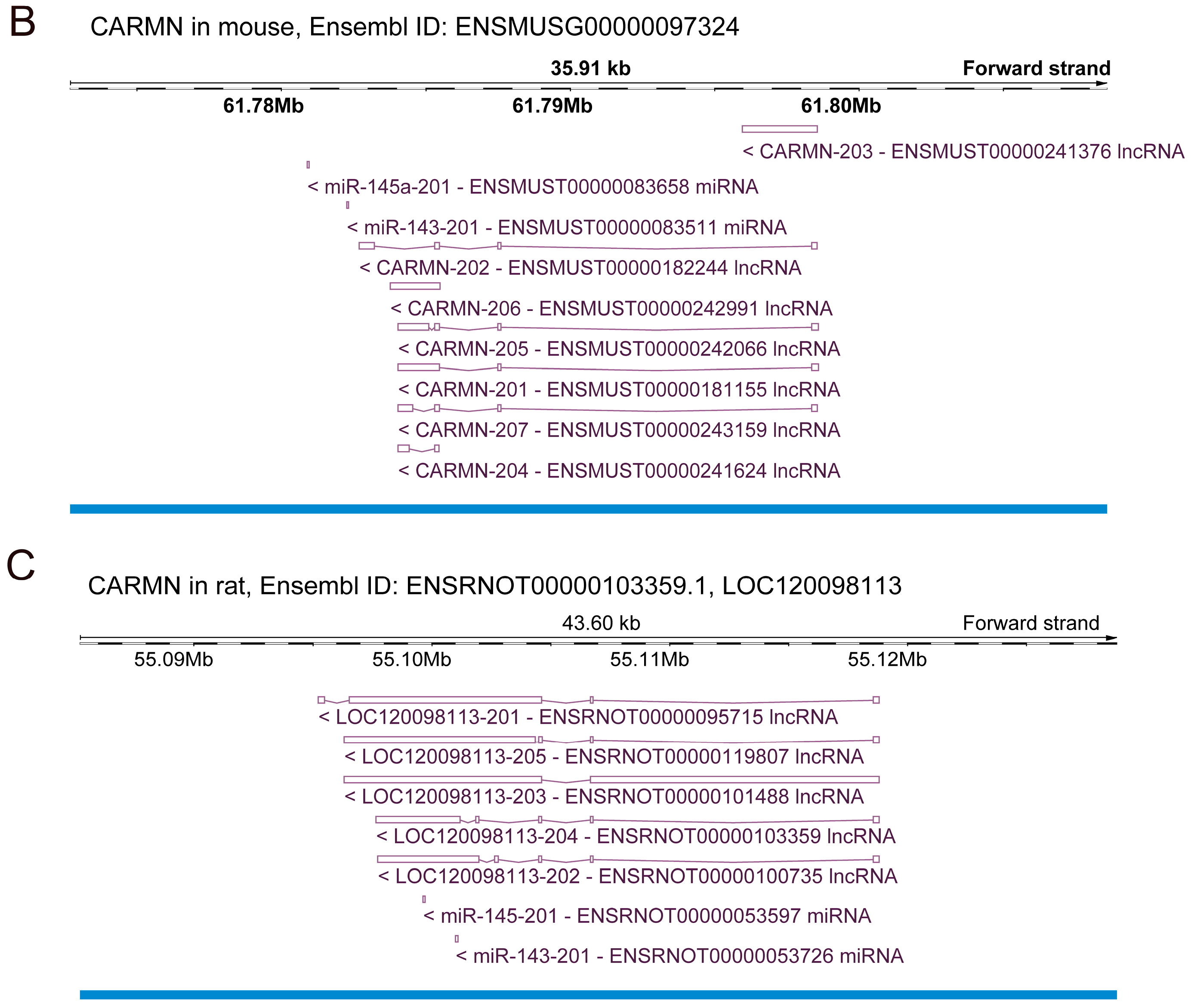 Biomolecules 14 00954 g001b