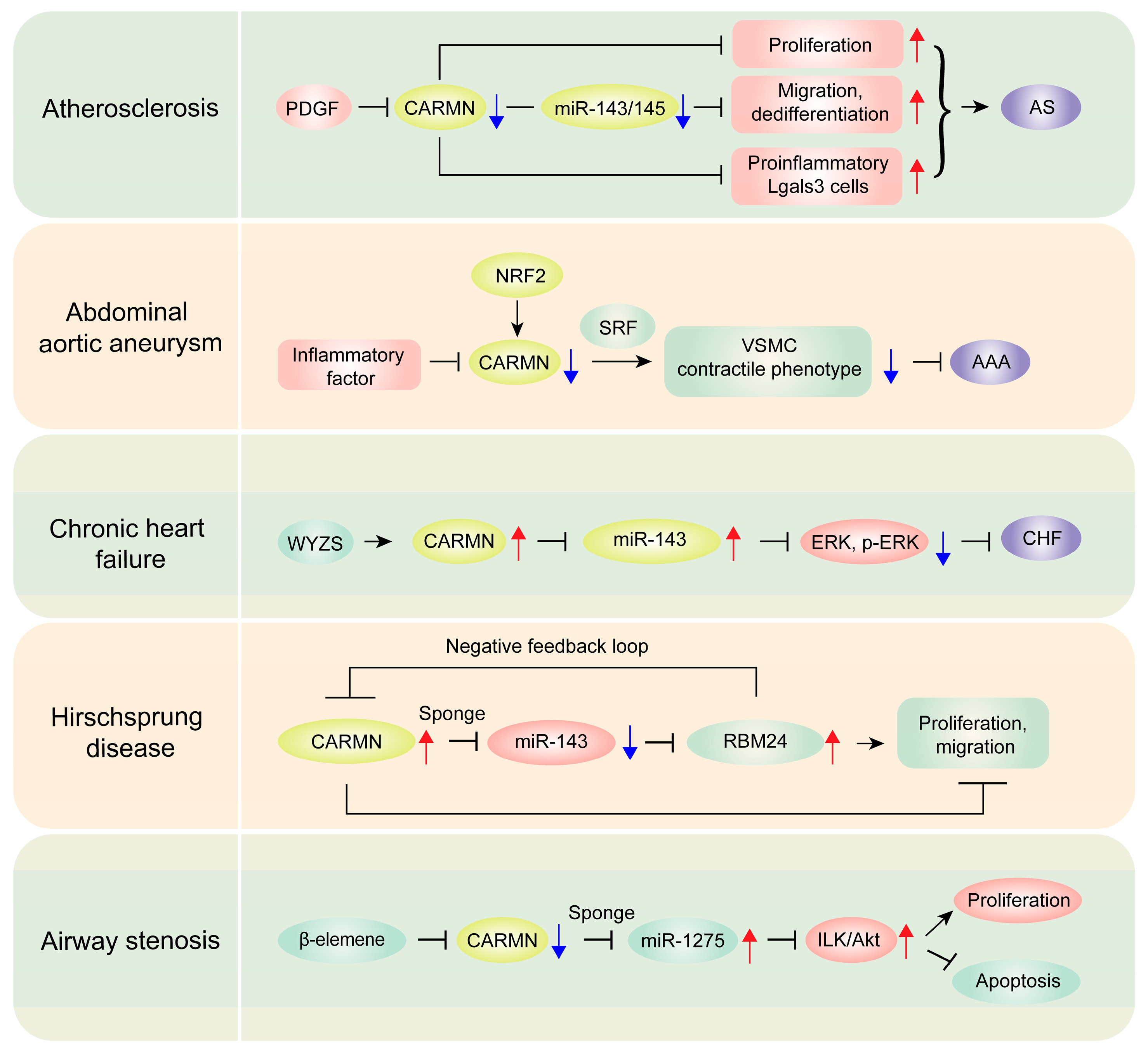 Biomolecules 14 00954 g003