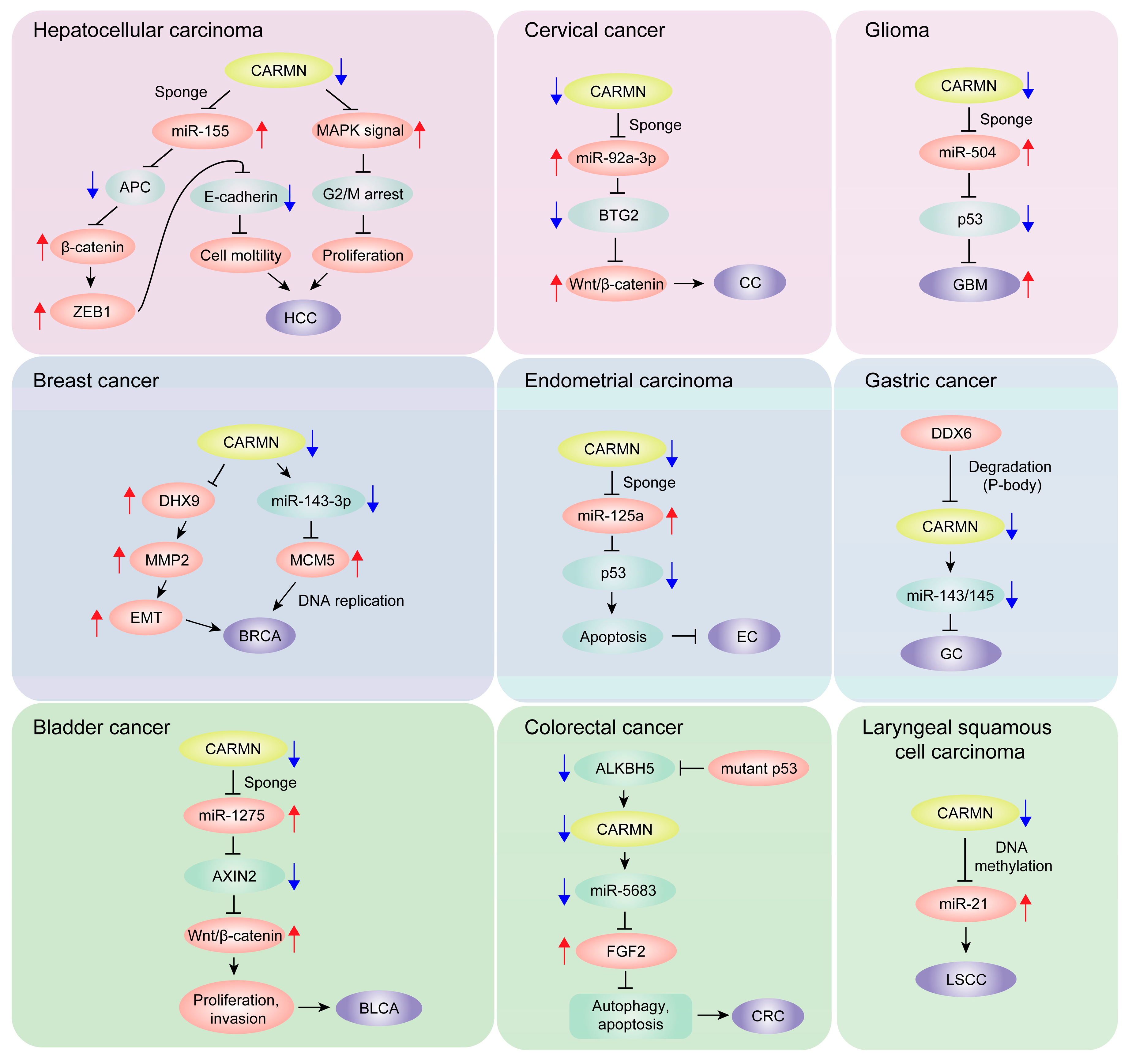 Biomolecules 14 00954 g004