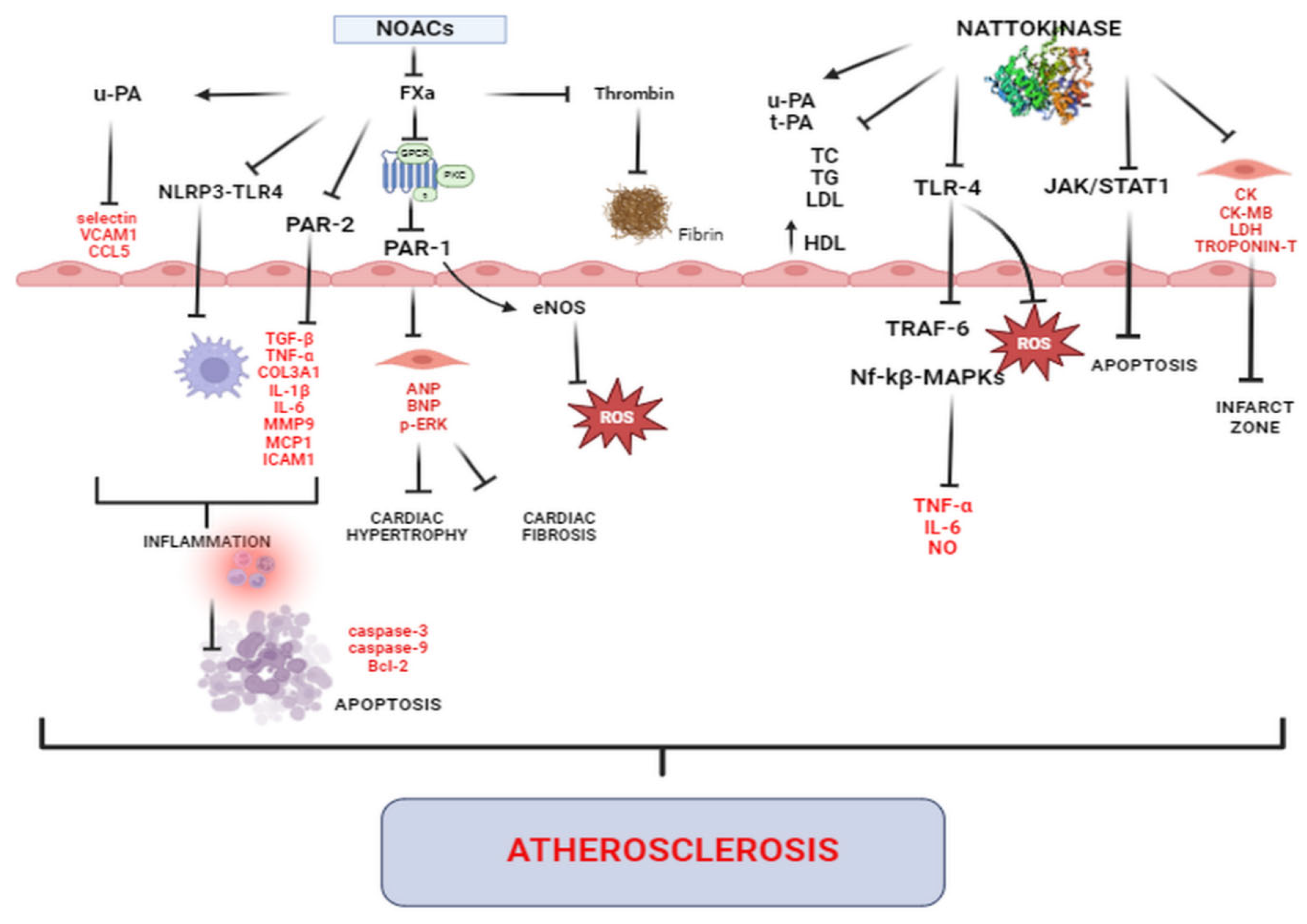 Biomolecules 14 00956 g002 Biomolecules 14 00956 g002