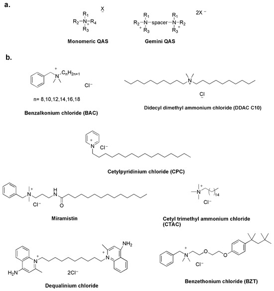 Quaternary Ammonium Salts-Based Materials: A Review on