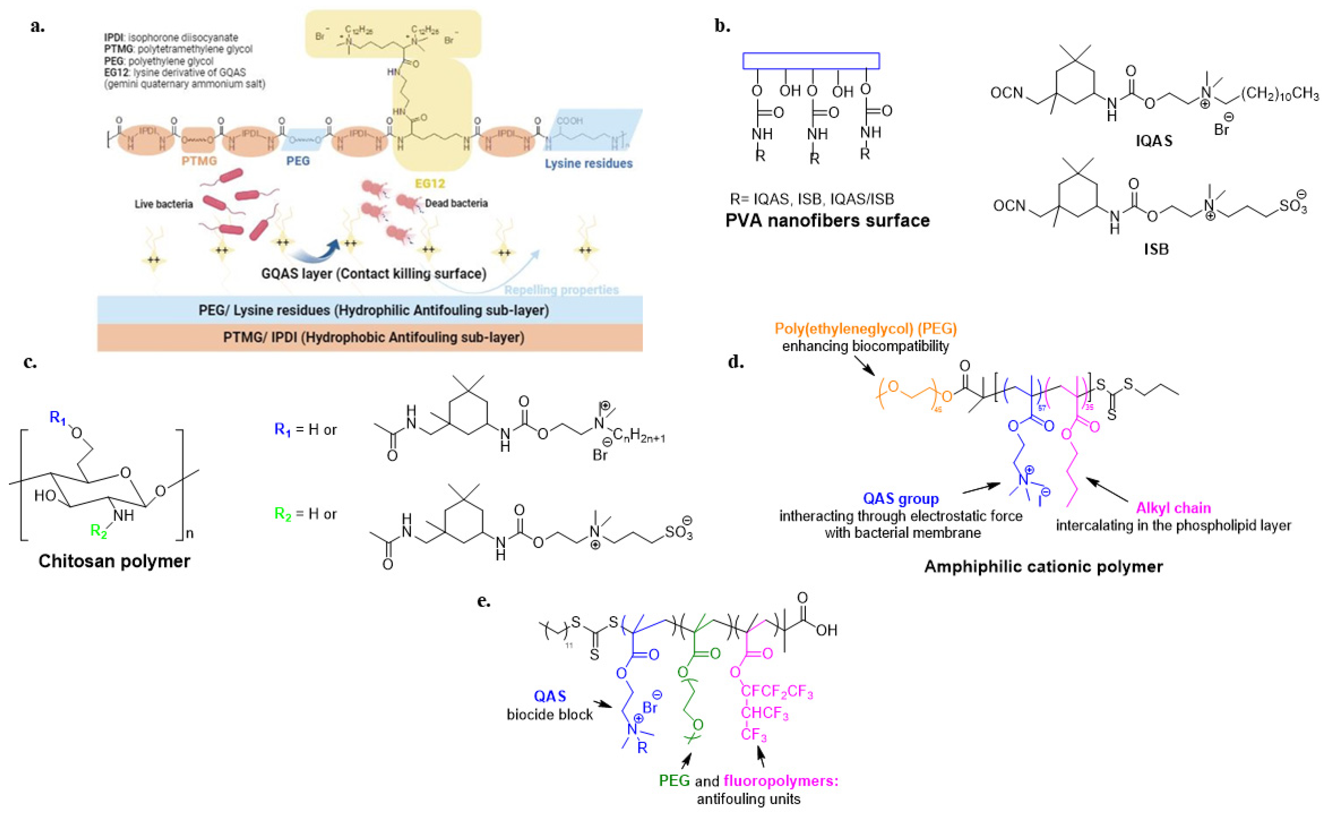 Biomolecules 14 00957 g007