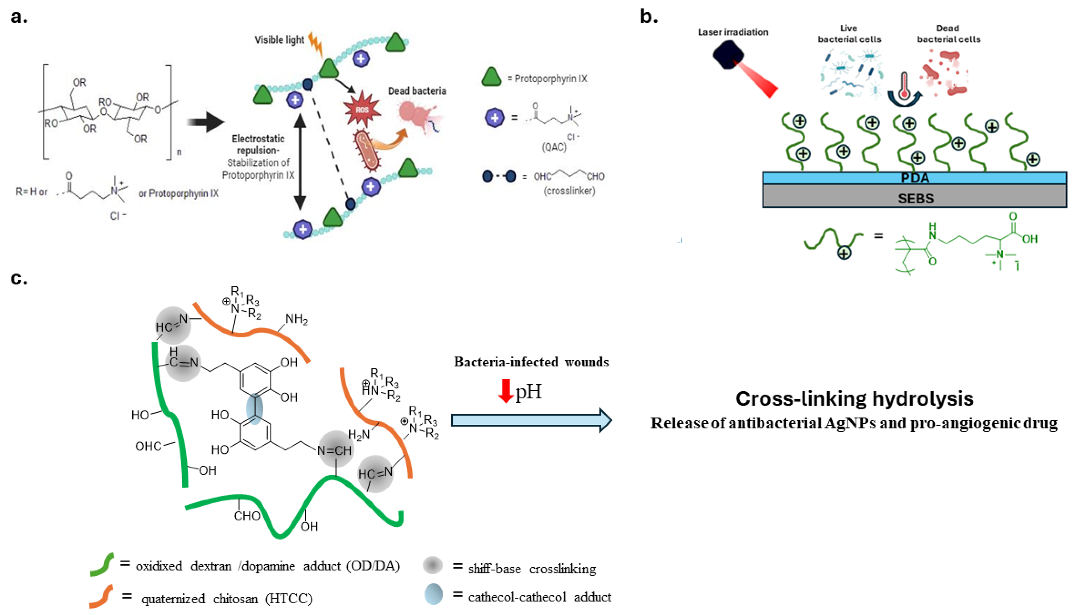 Biomolecules 14 00957 g008