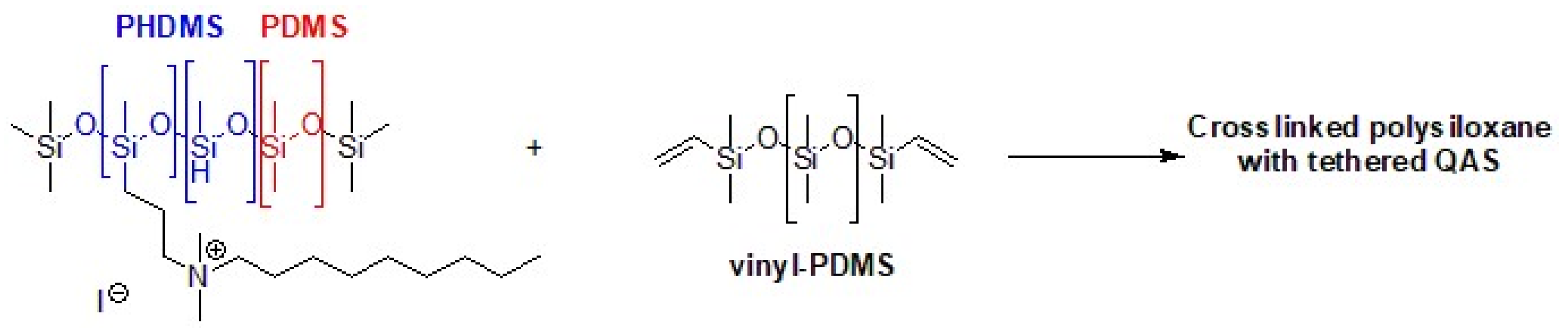 Biomolecules 14 00957 g013