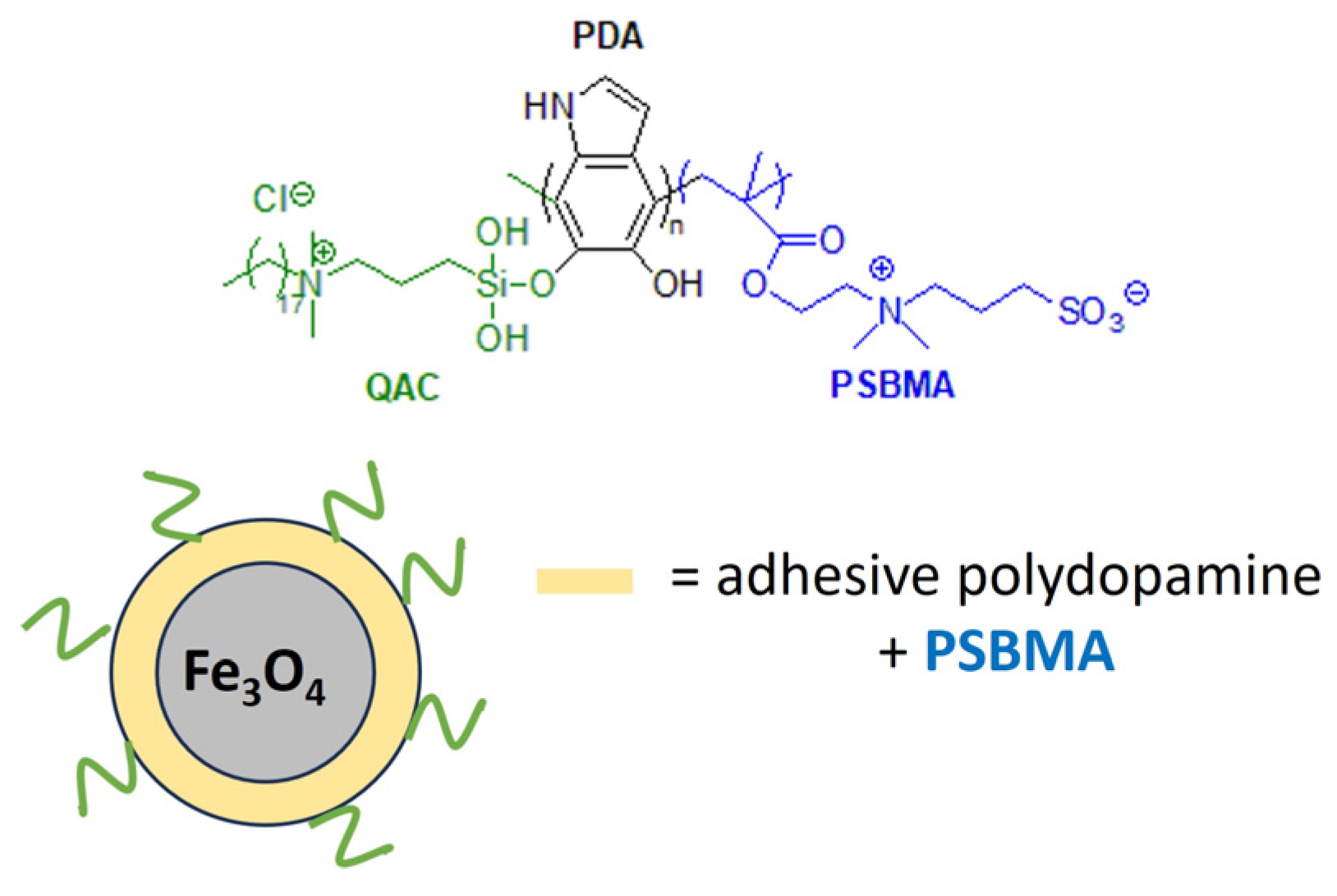 Biomolecules 14 00957 g016
