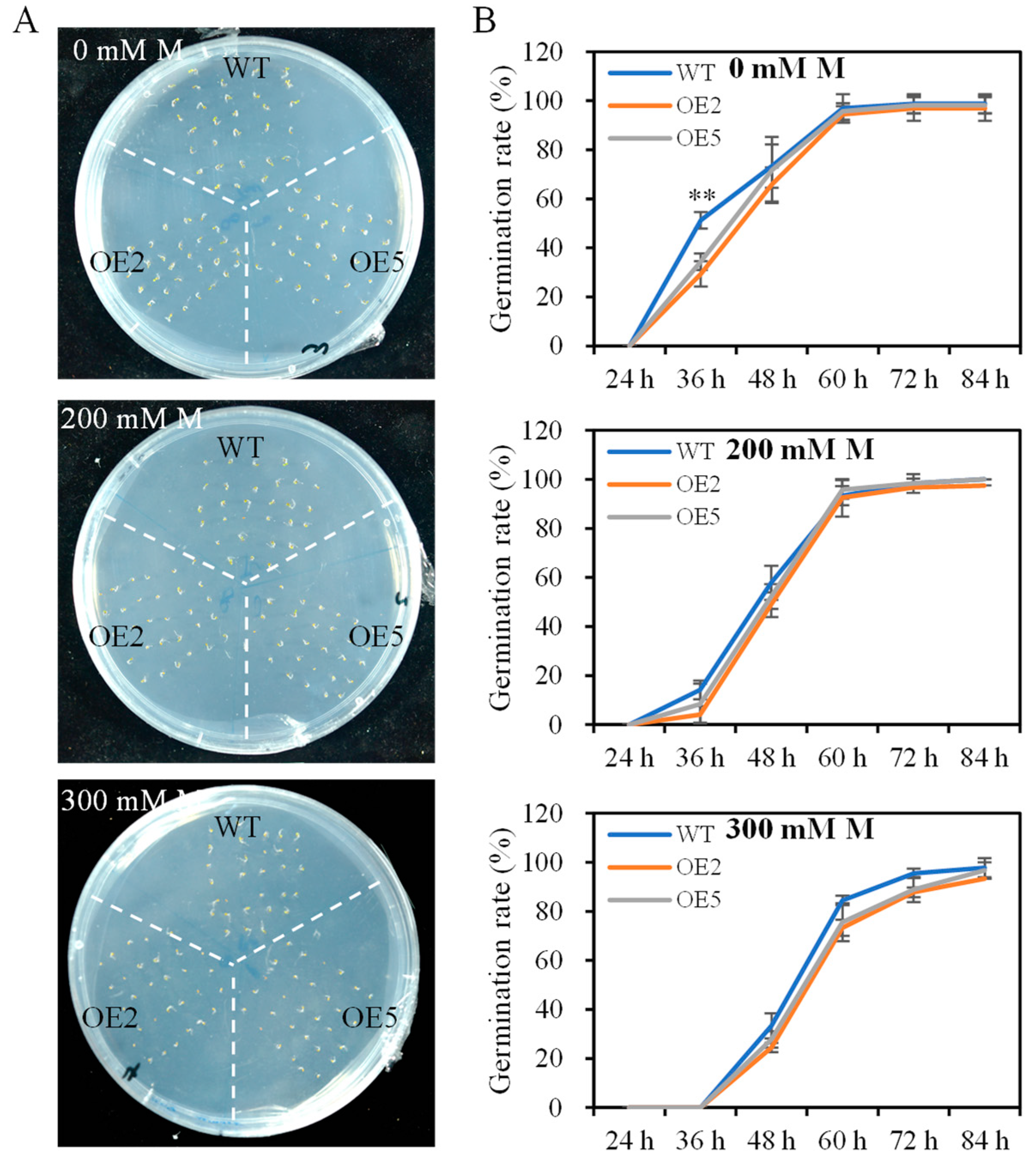Biomolecules 14 00958 g004