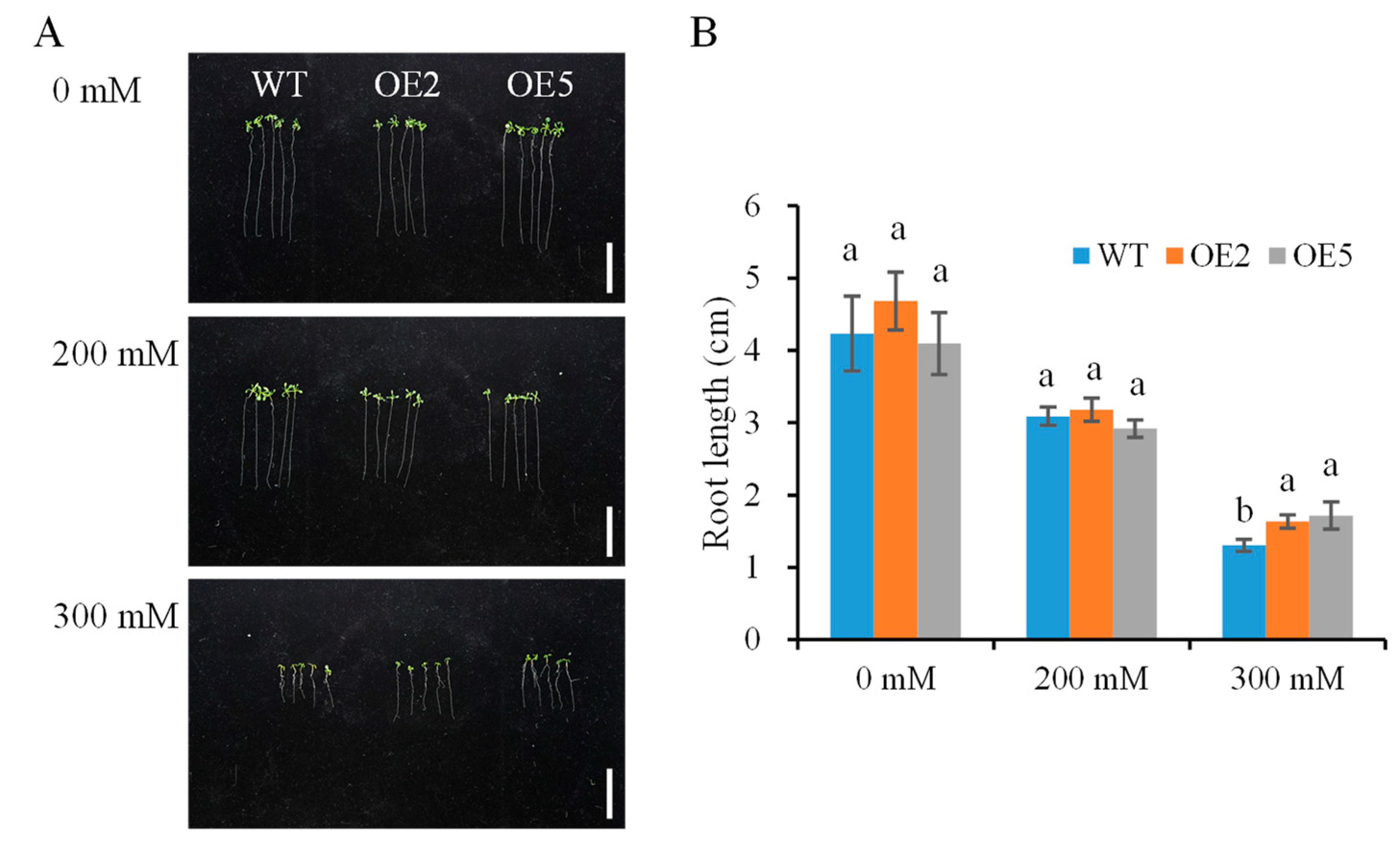 Biomolecules 14 00958 g005