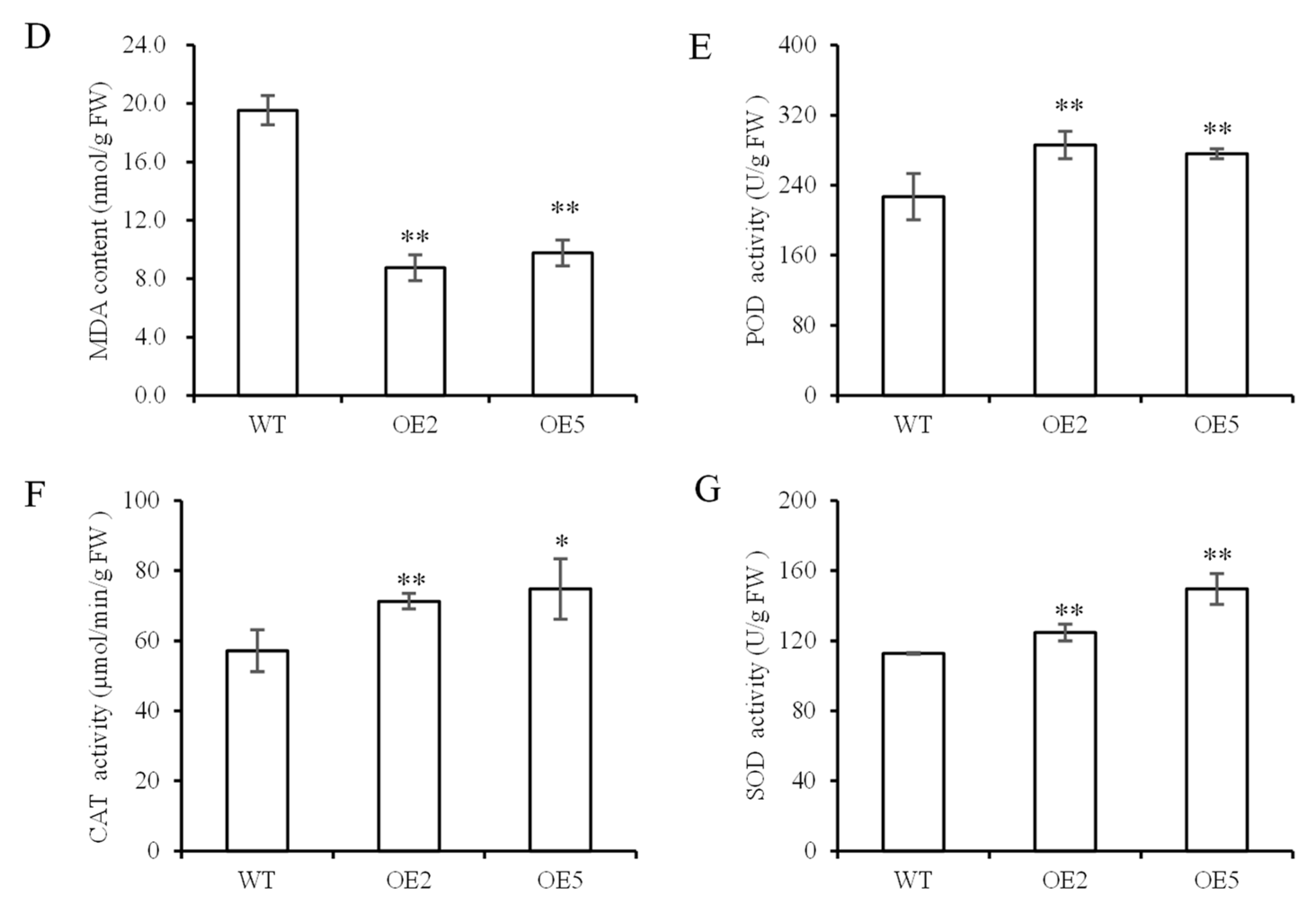 Biomolecules 14 00958 g006b