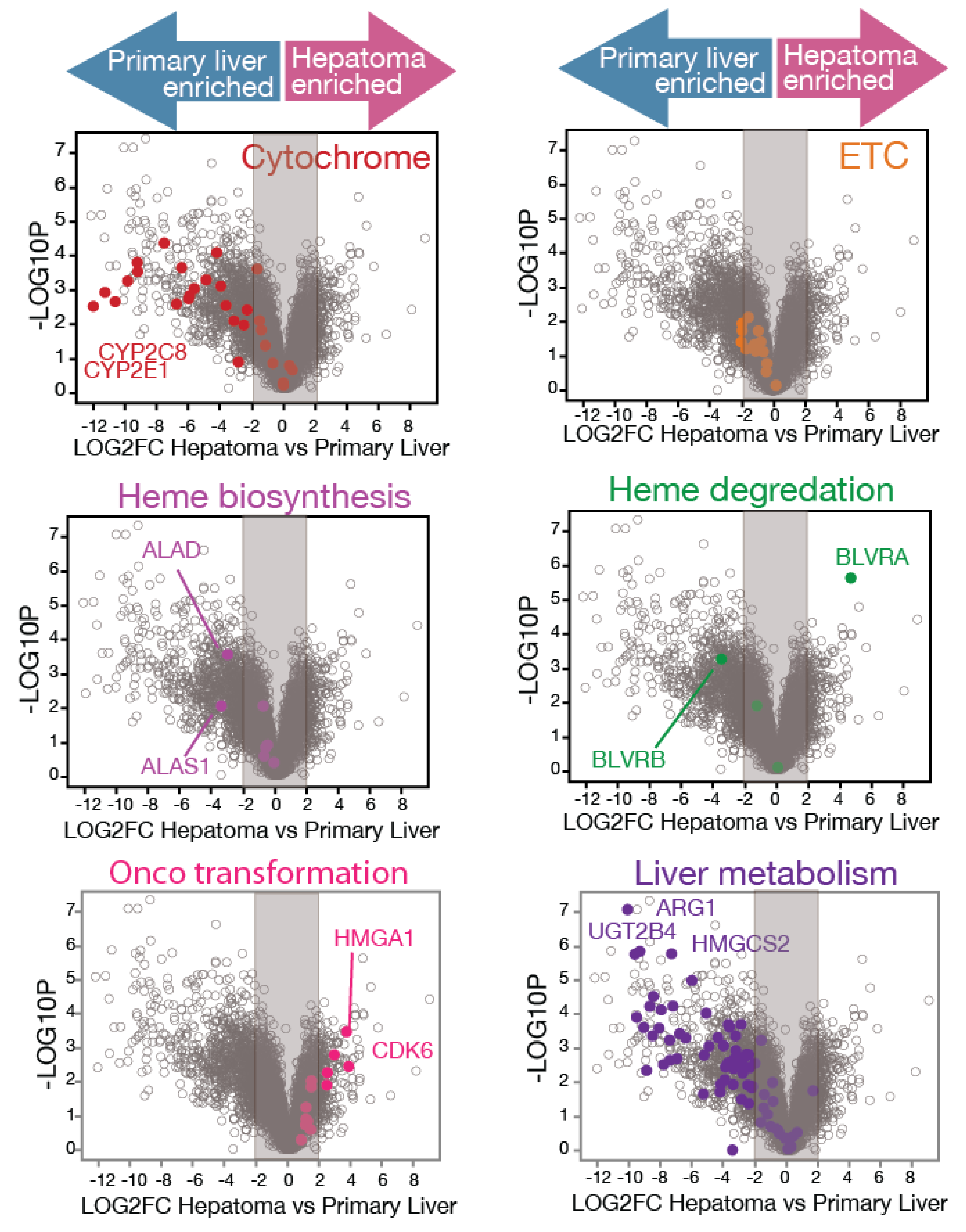 Biomolecules 14 00959 g001 Biomolecules 14 00959 g001