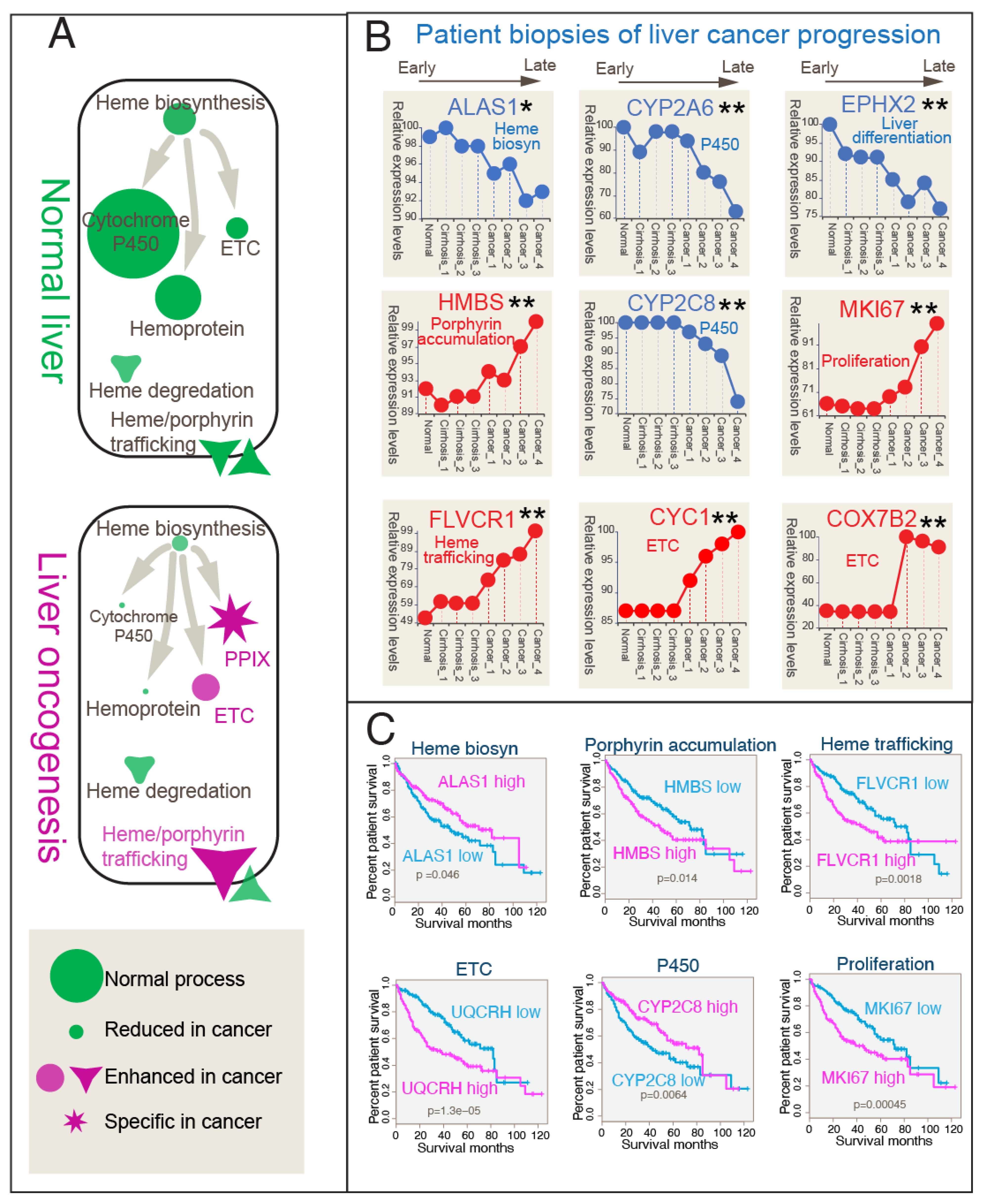 Biomolecules 14 00959 g004 Biomolecules 14 00959 g004