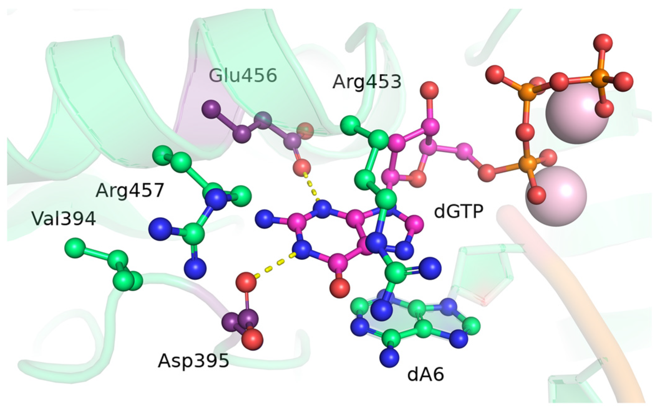 Biomolecules 14 00961 g001