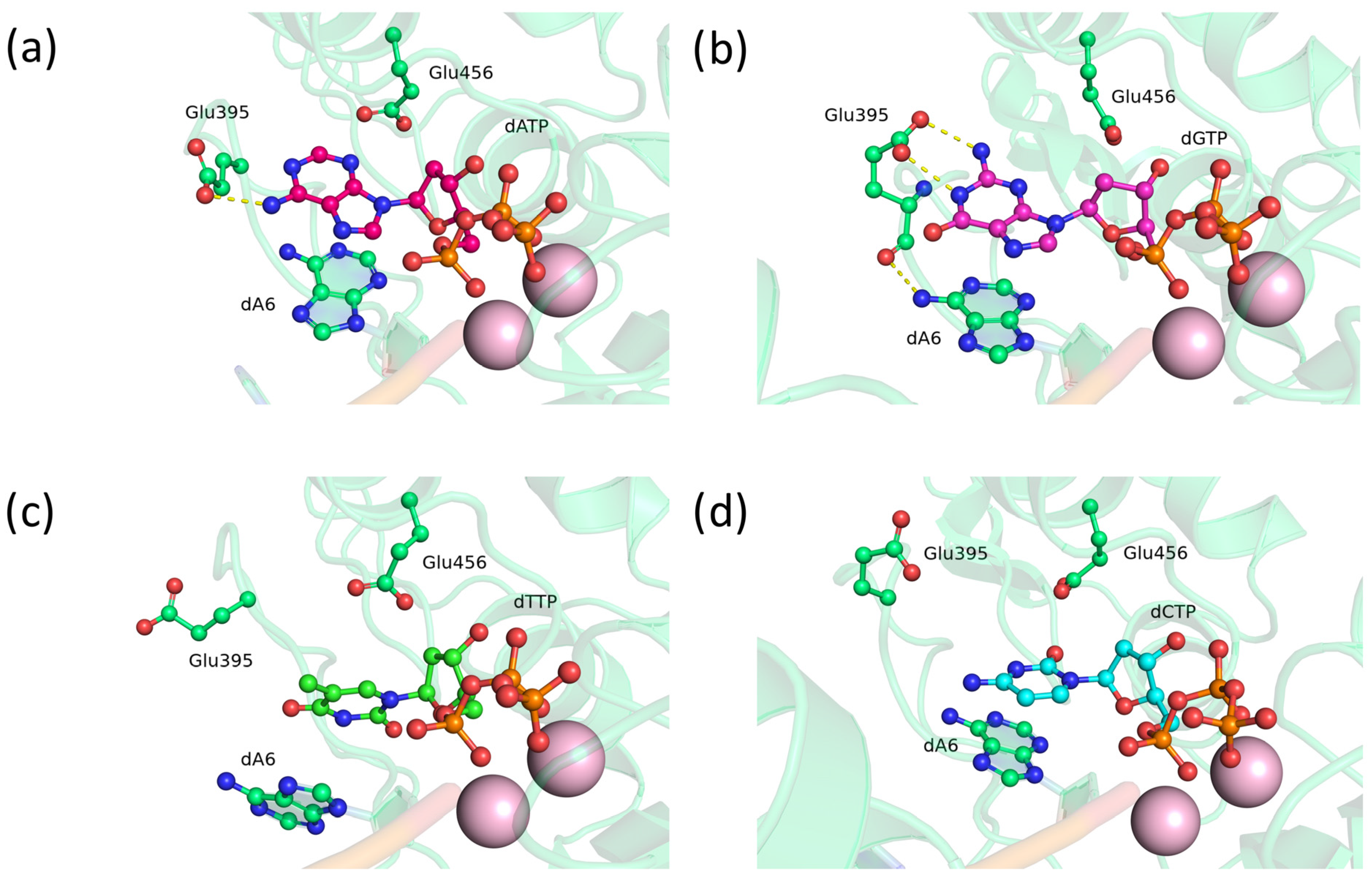 Biomolecules 14 00961 g002