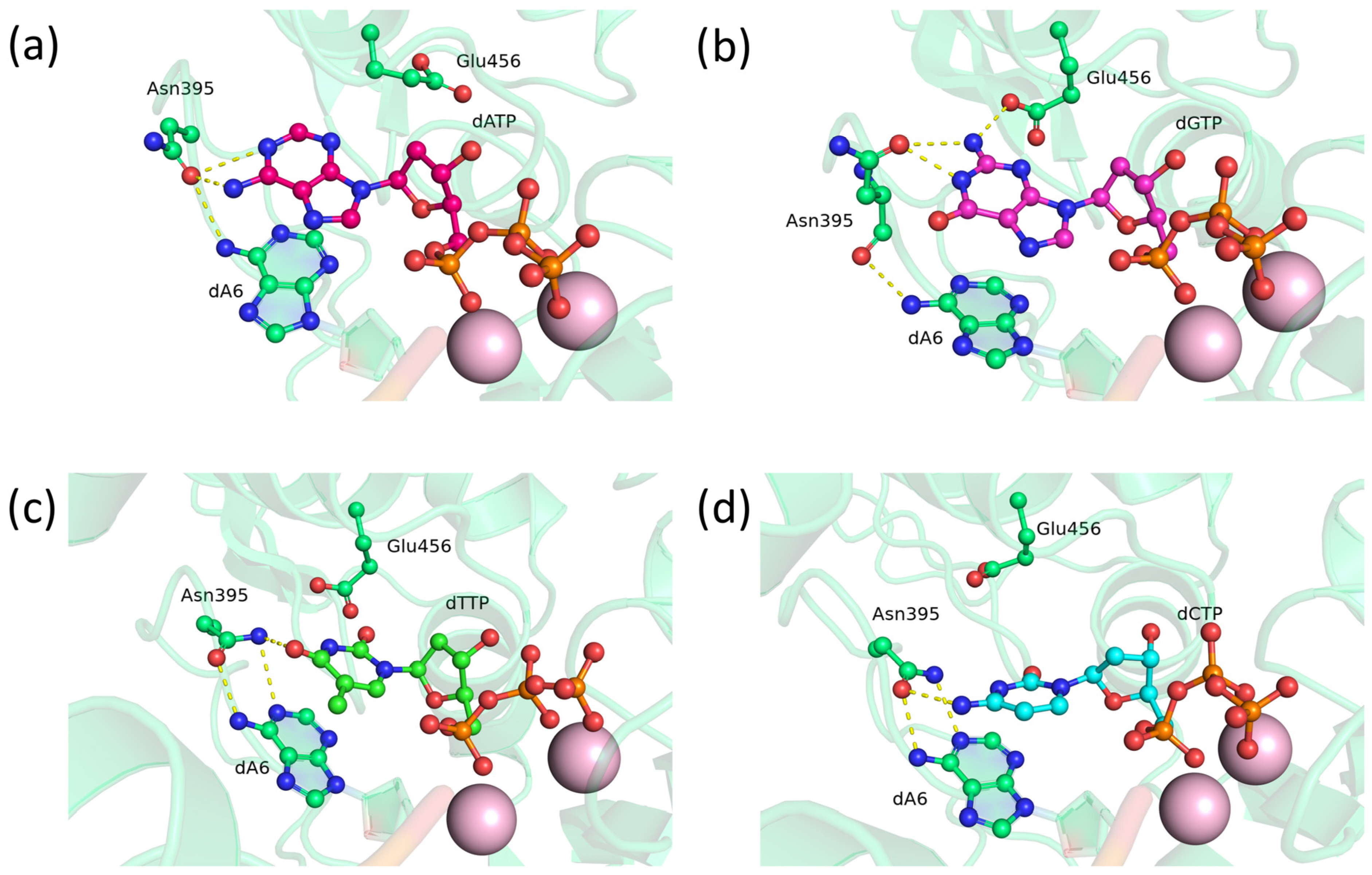 Biomolecules 14 00961 g004
