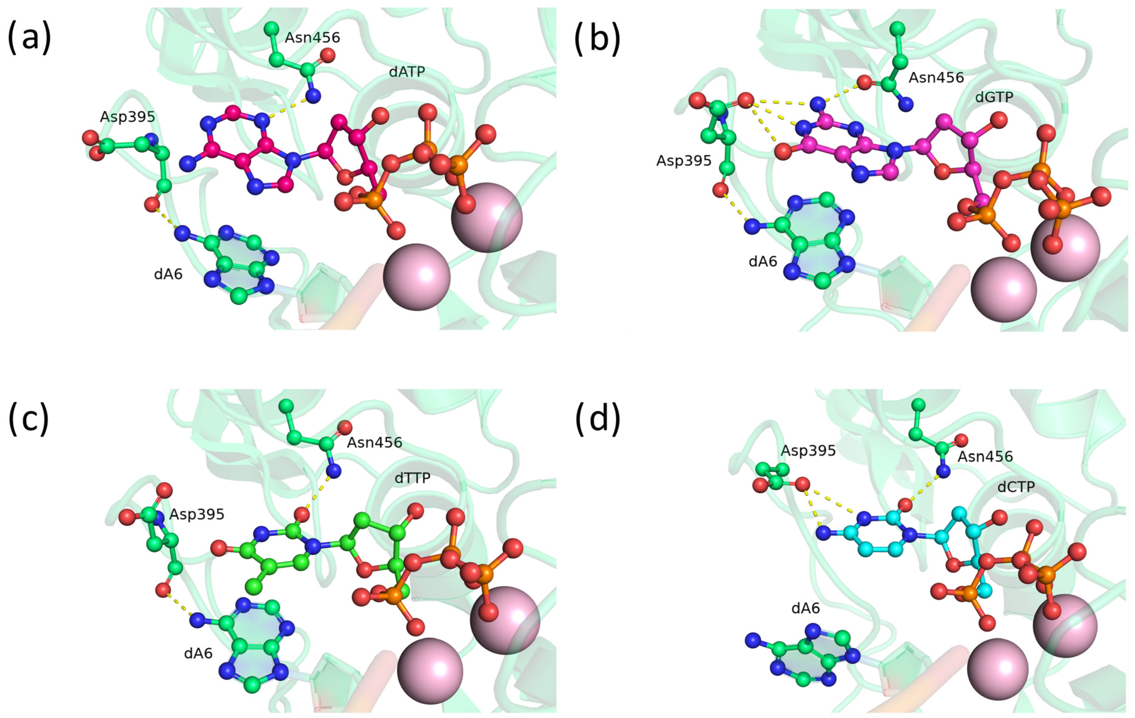 Biomolecules 14 00961 g006