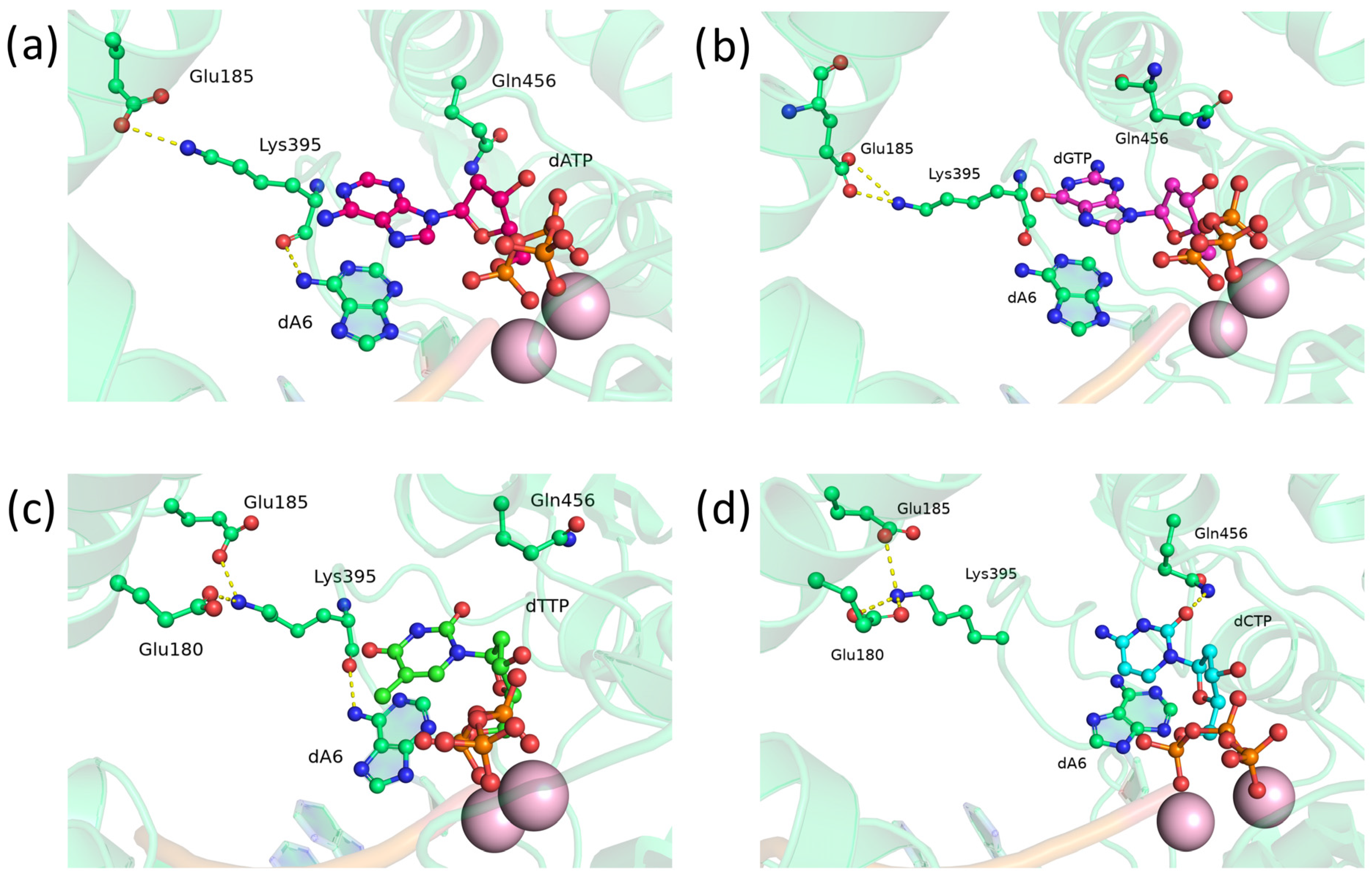 Biomolecules 14 00961 g007