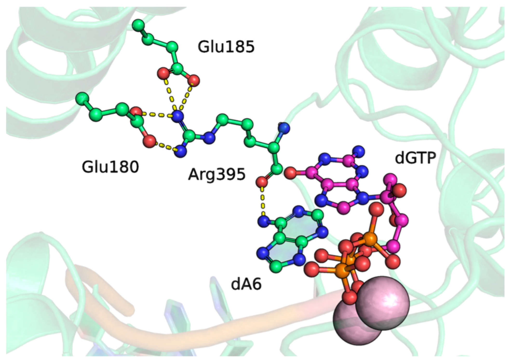 Biomolecules 14 00961 g008