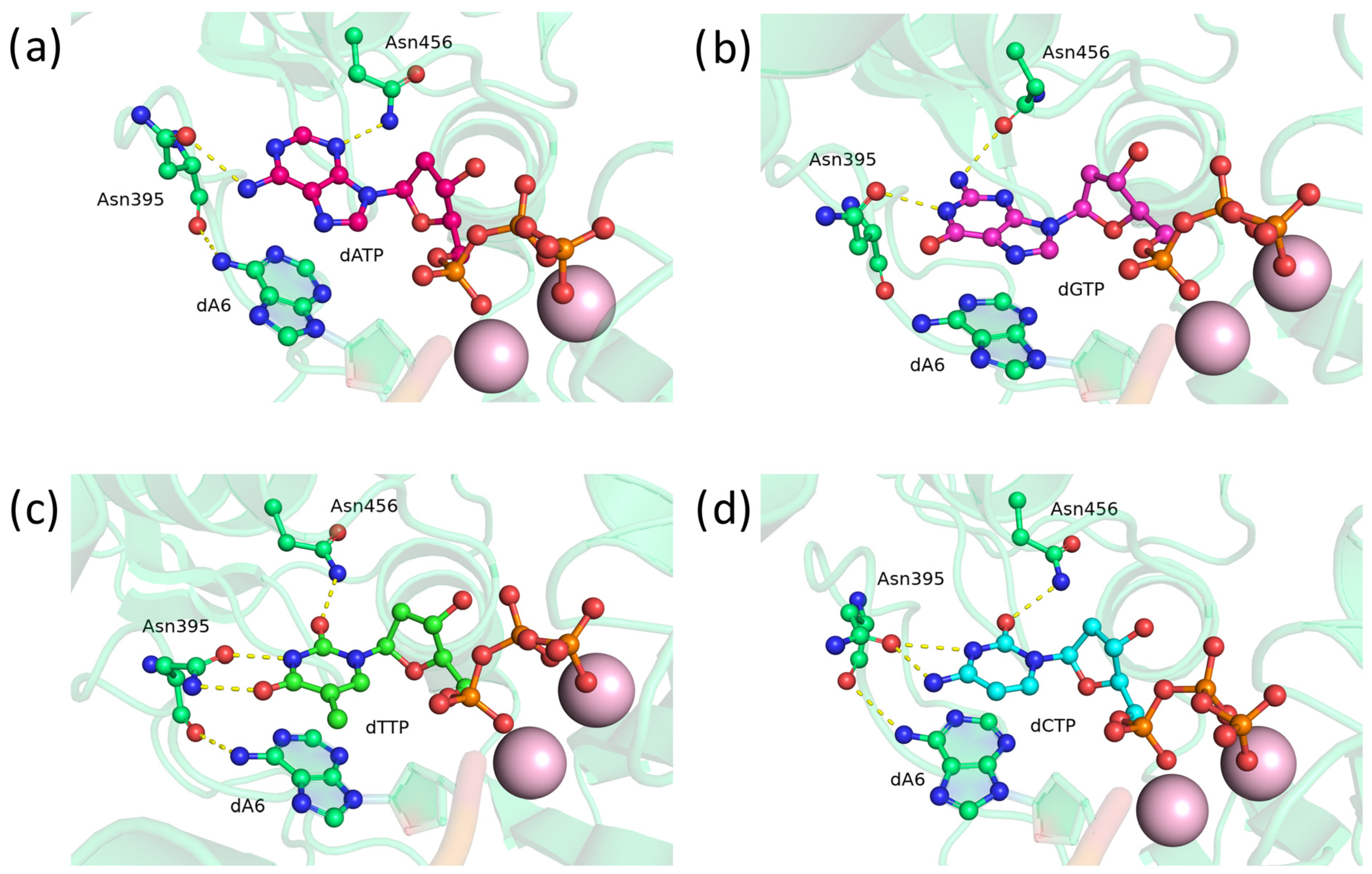 Biomolecules 14 00961 g010