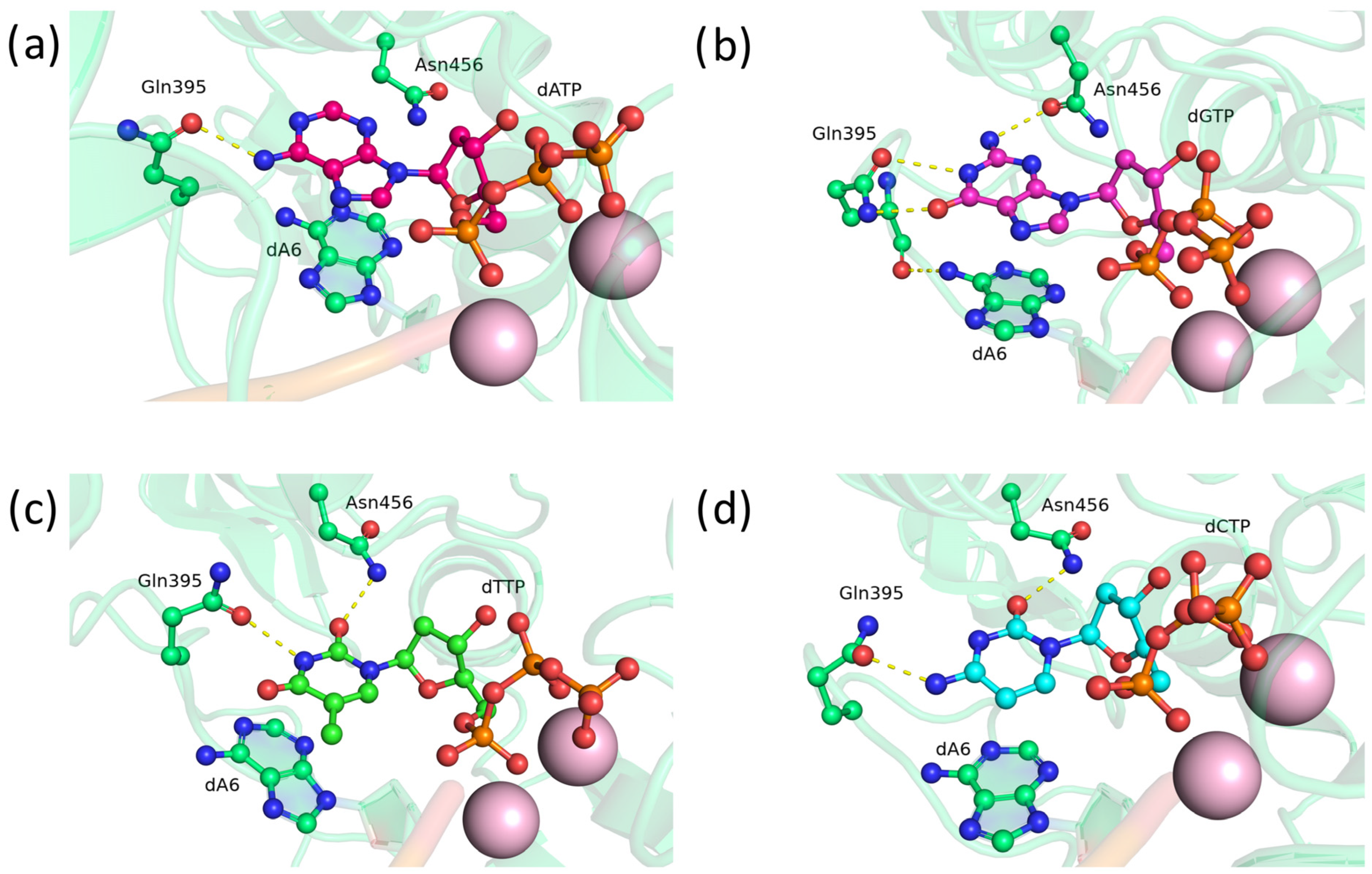 Biomolecules 14 00961 g011