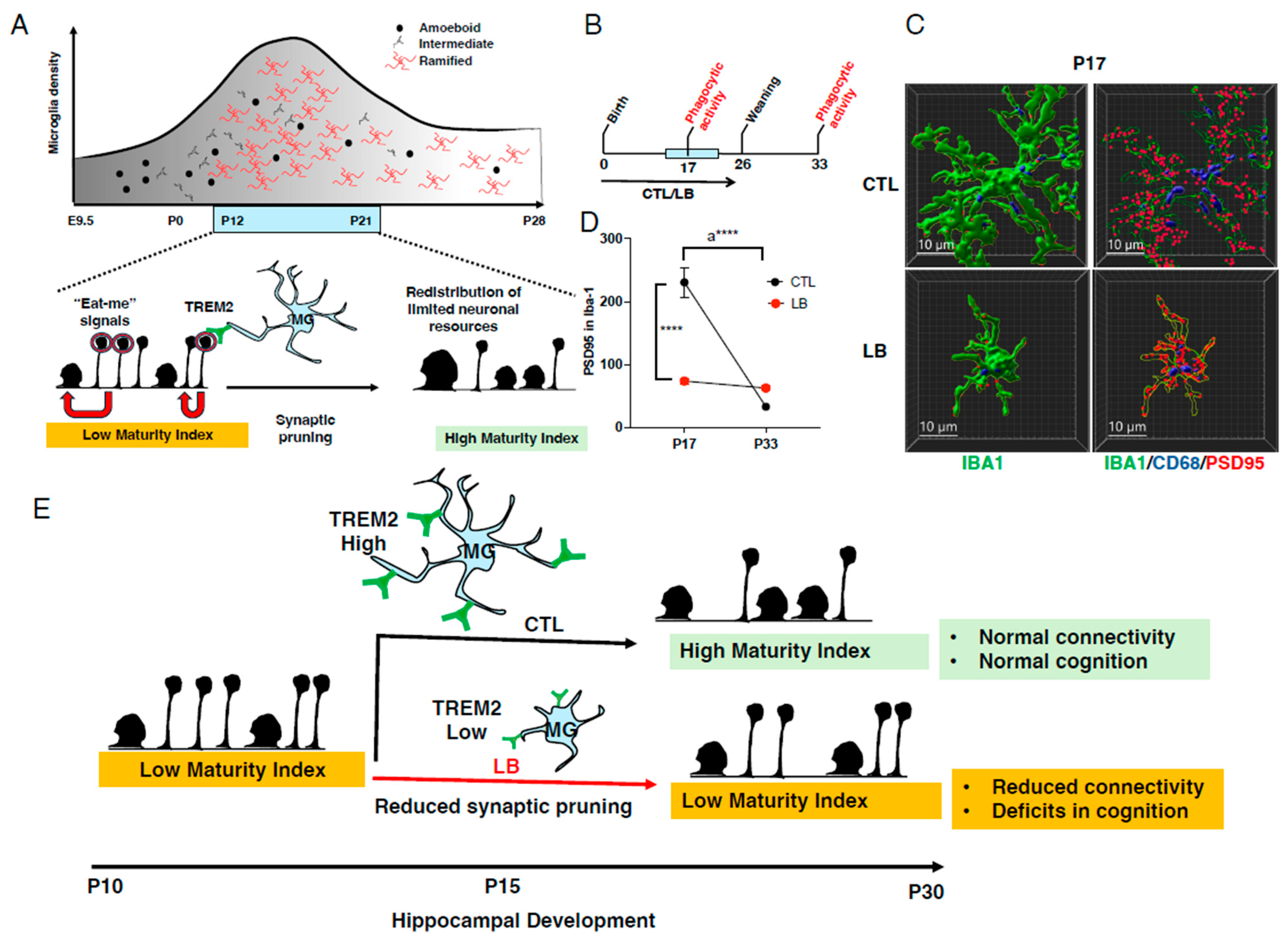 Biomolecules 14 00964 g001