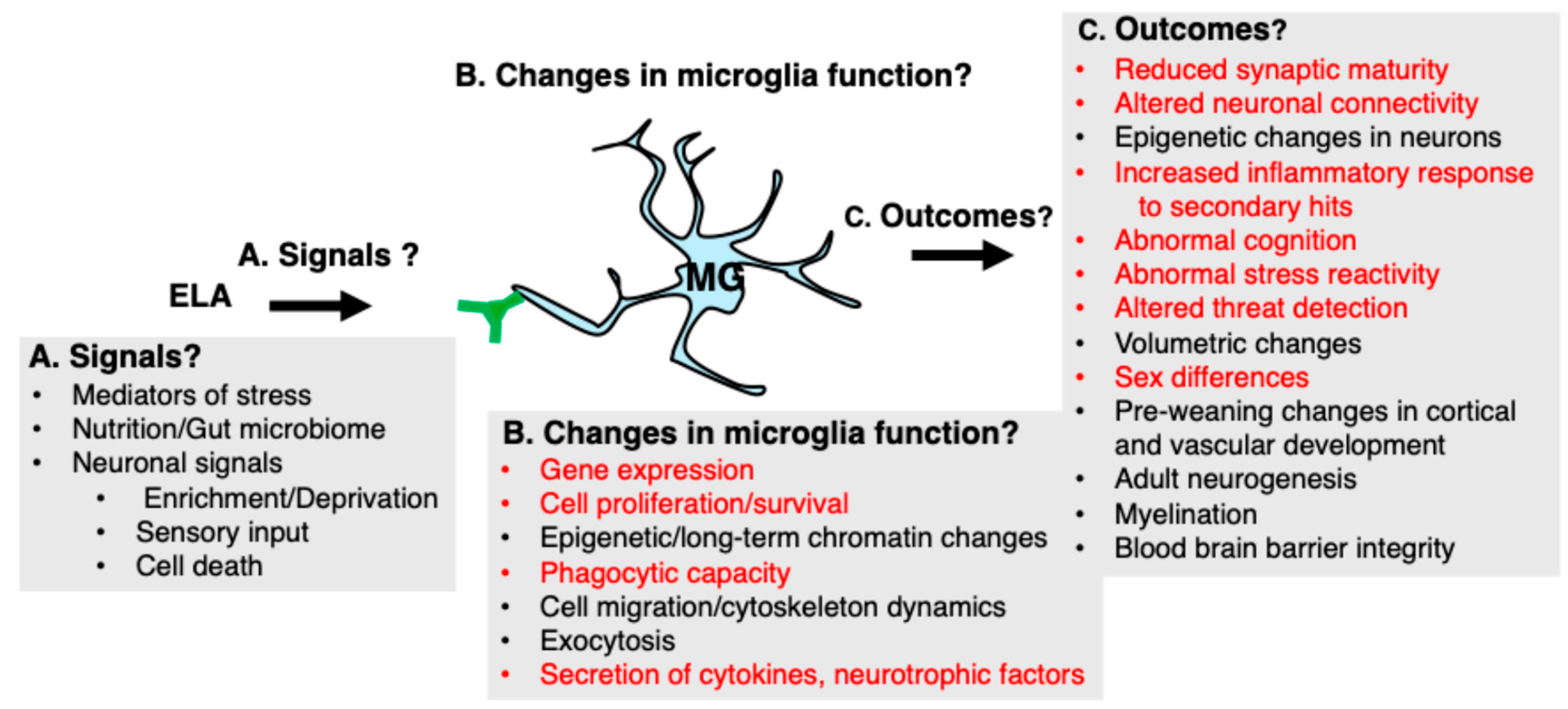 Biomolecules 14 00964 g002