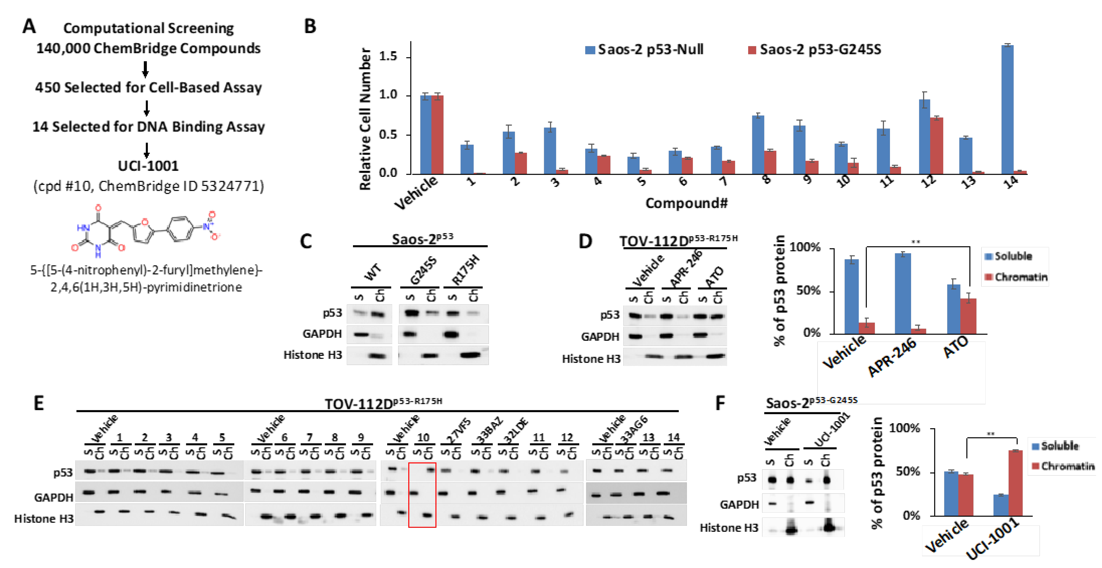 Biomolecules 14 00967 g001