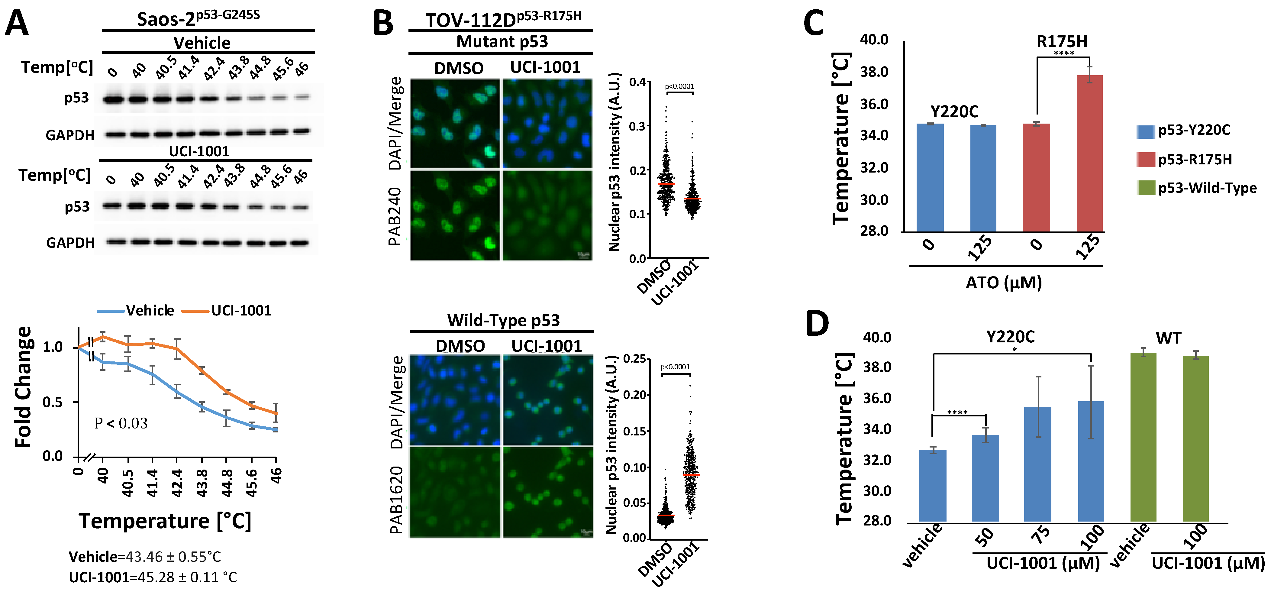 Biomolecules 14 00967 g005