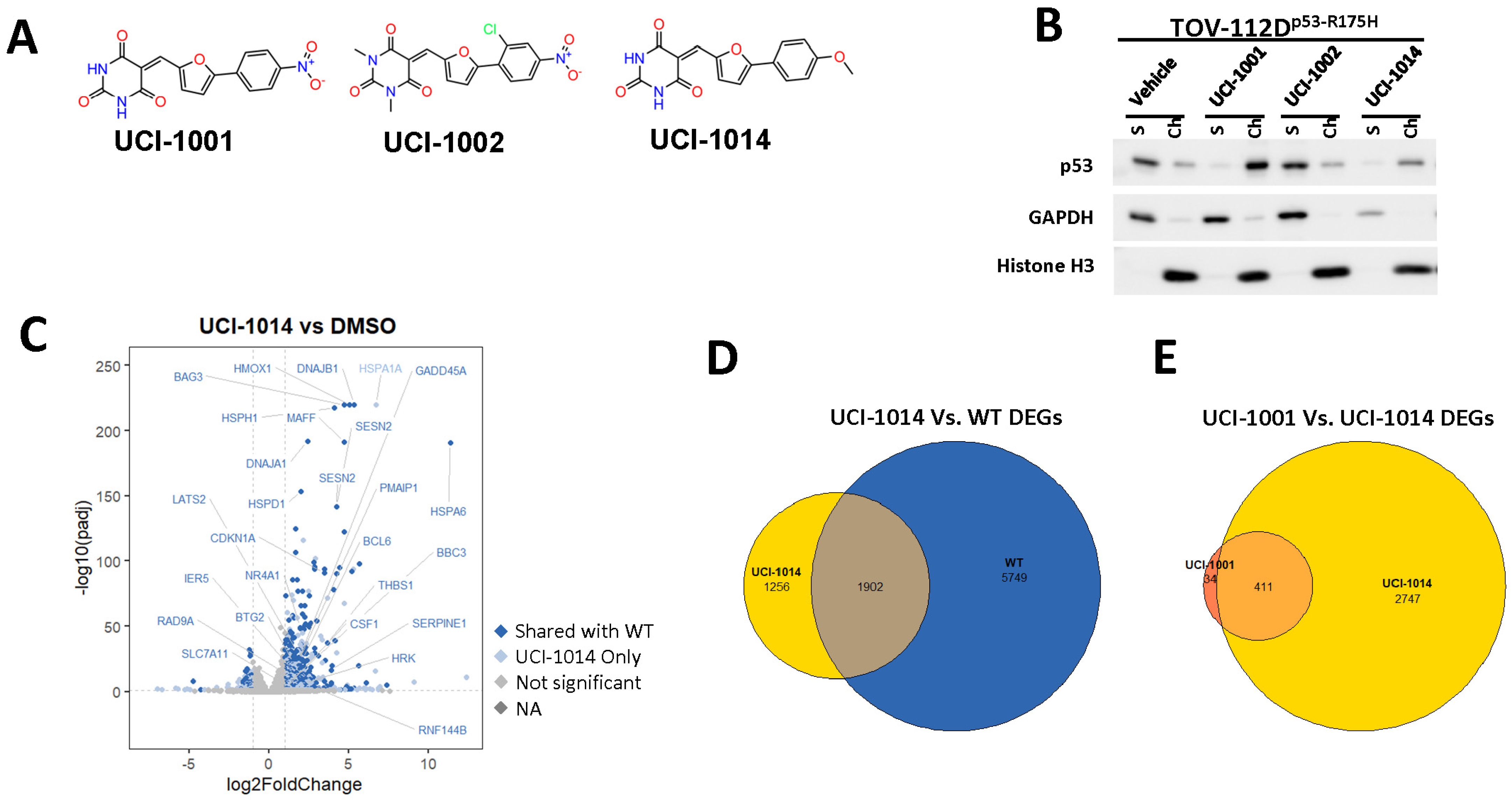 Biomolecules 14 00967 g006