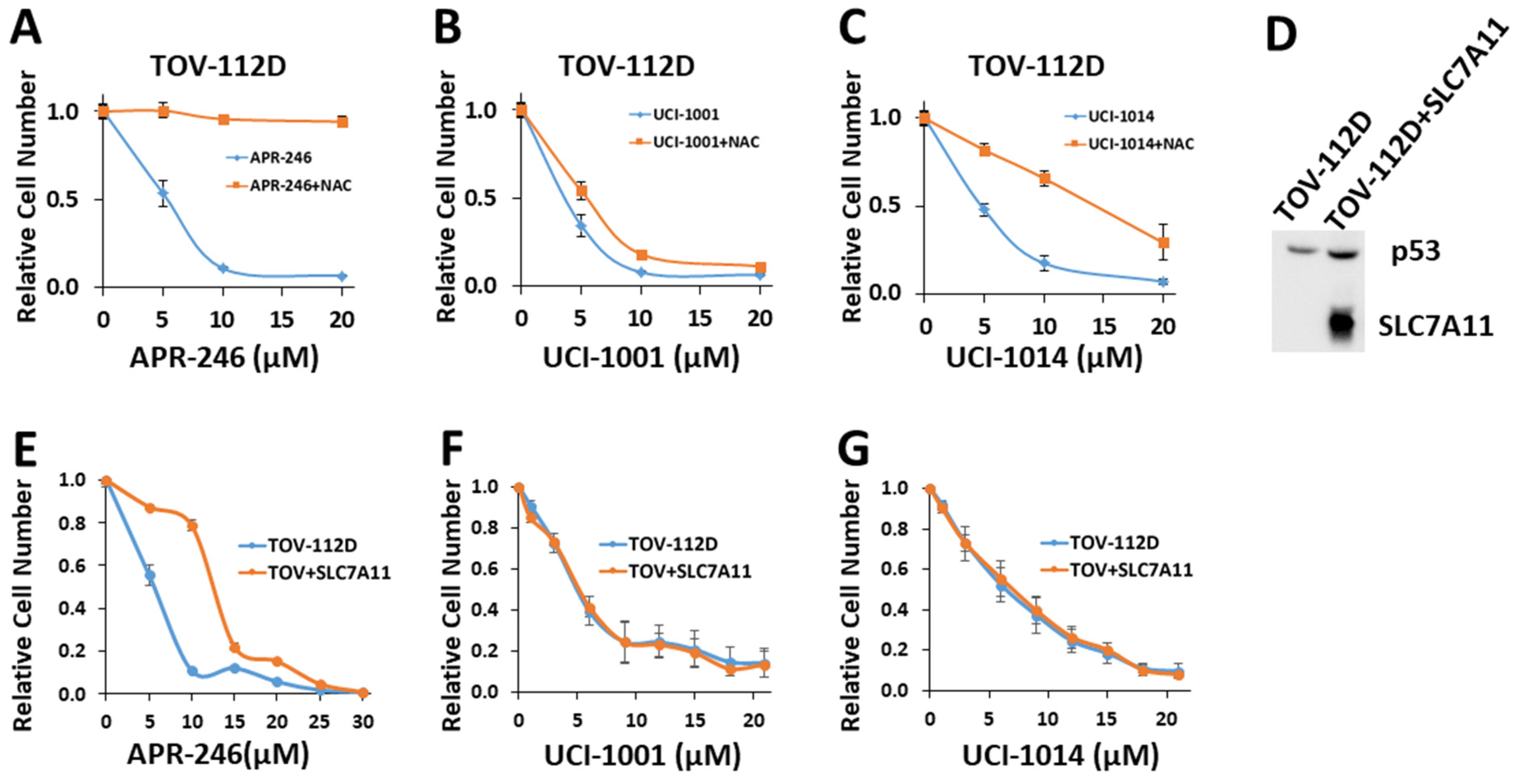 Biomolecules 14 00967 g007