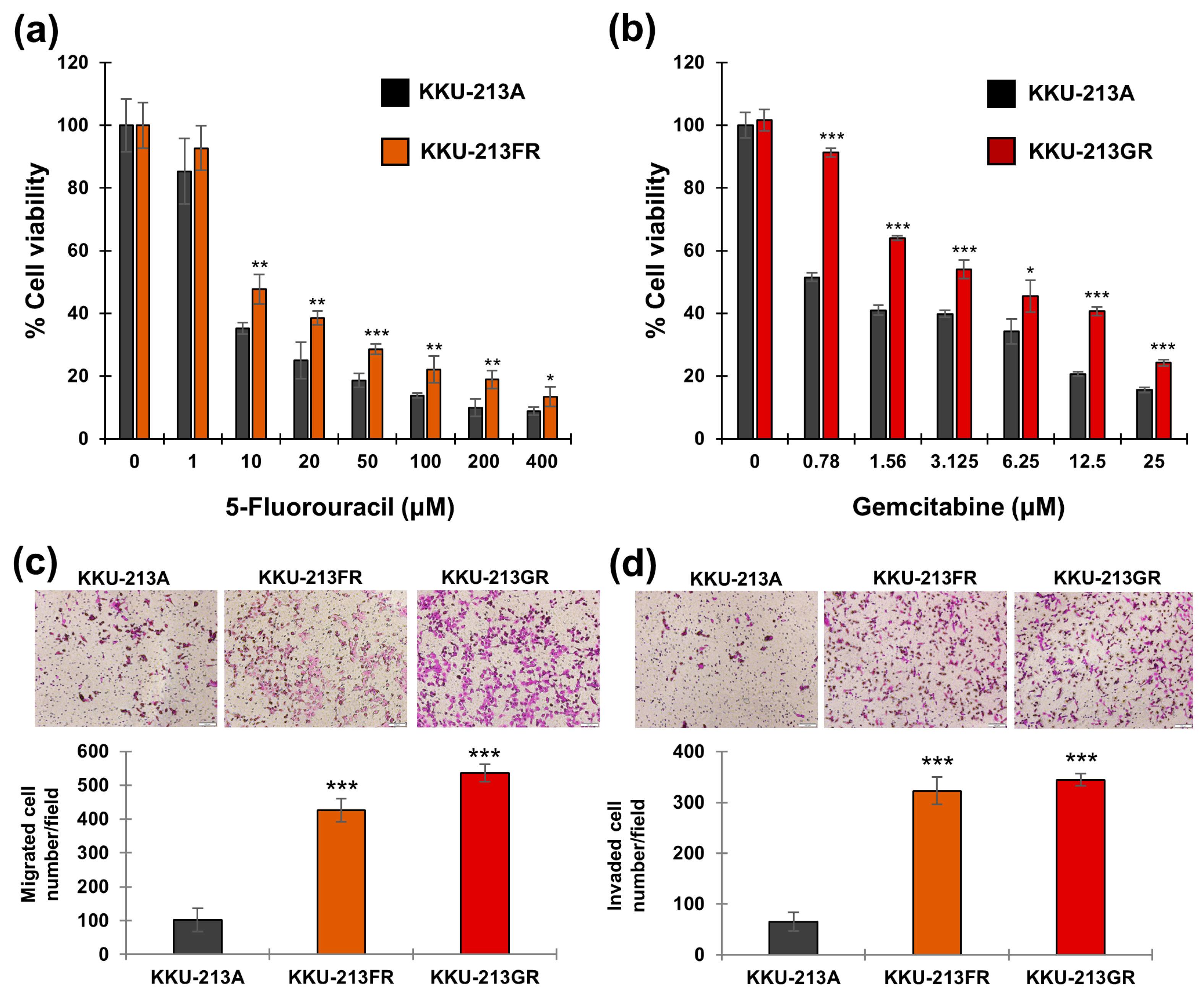 Biomolecules 14 00969 g001