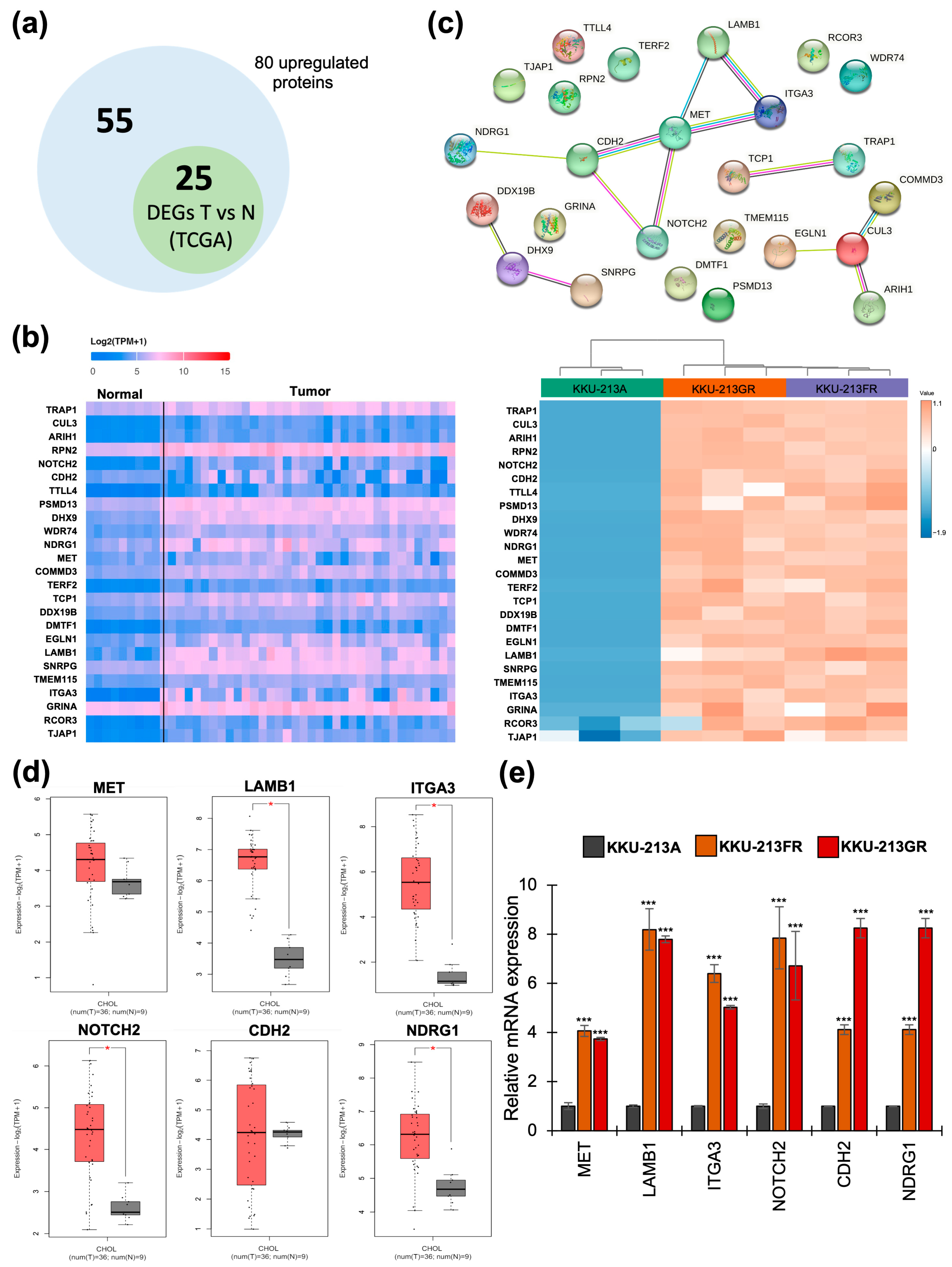 Biomolecules 14 00969 g004