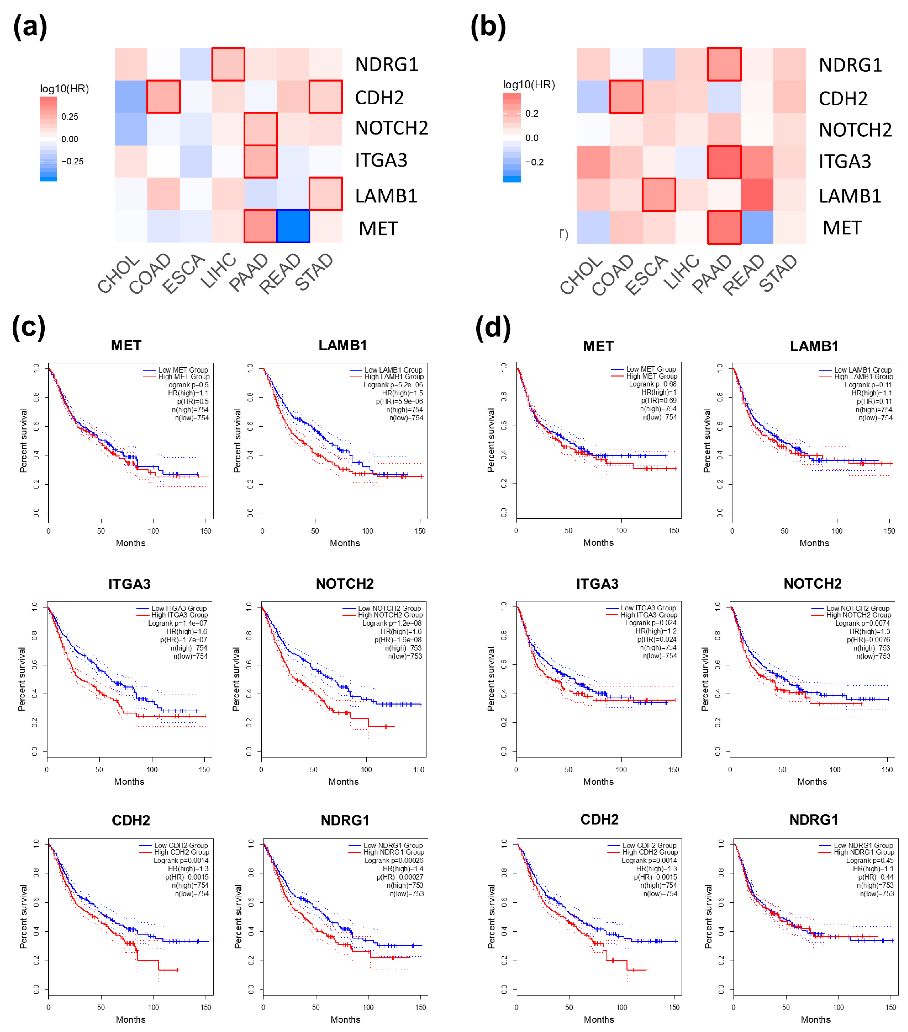 Biomolecules 14 00969 g005