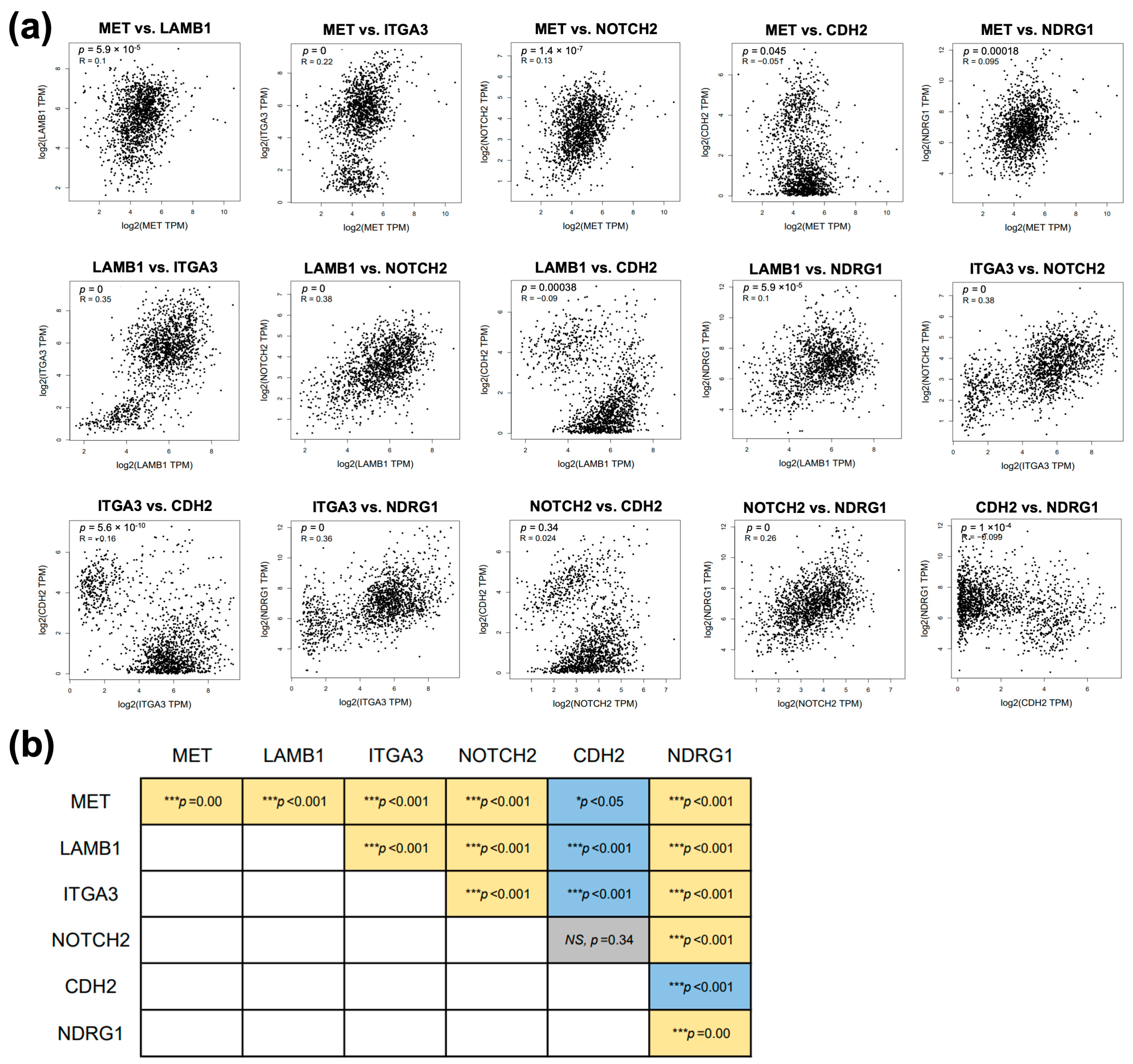 Biomolecules 14 00969 g006