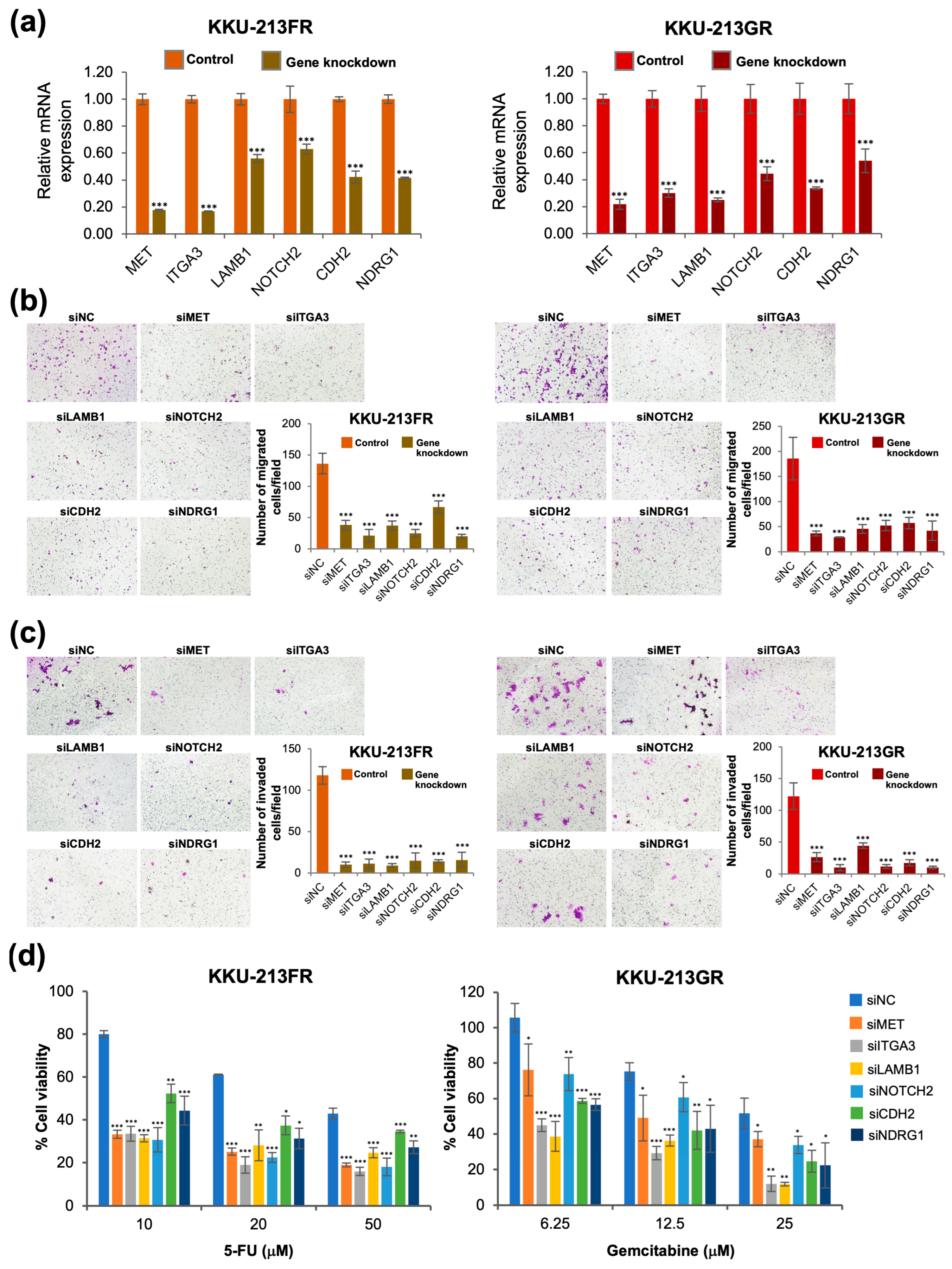 Biomolecules 14 00969 g007