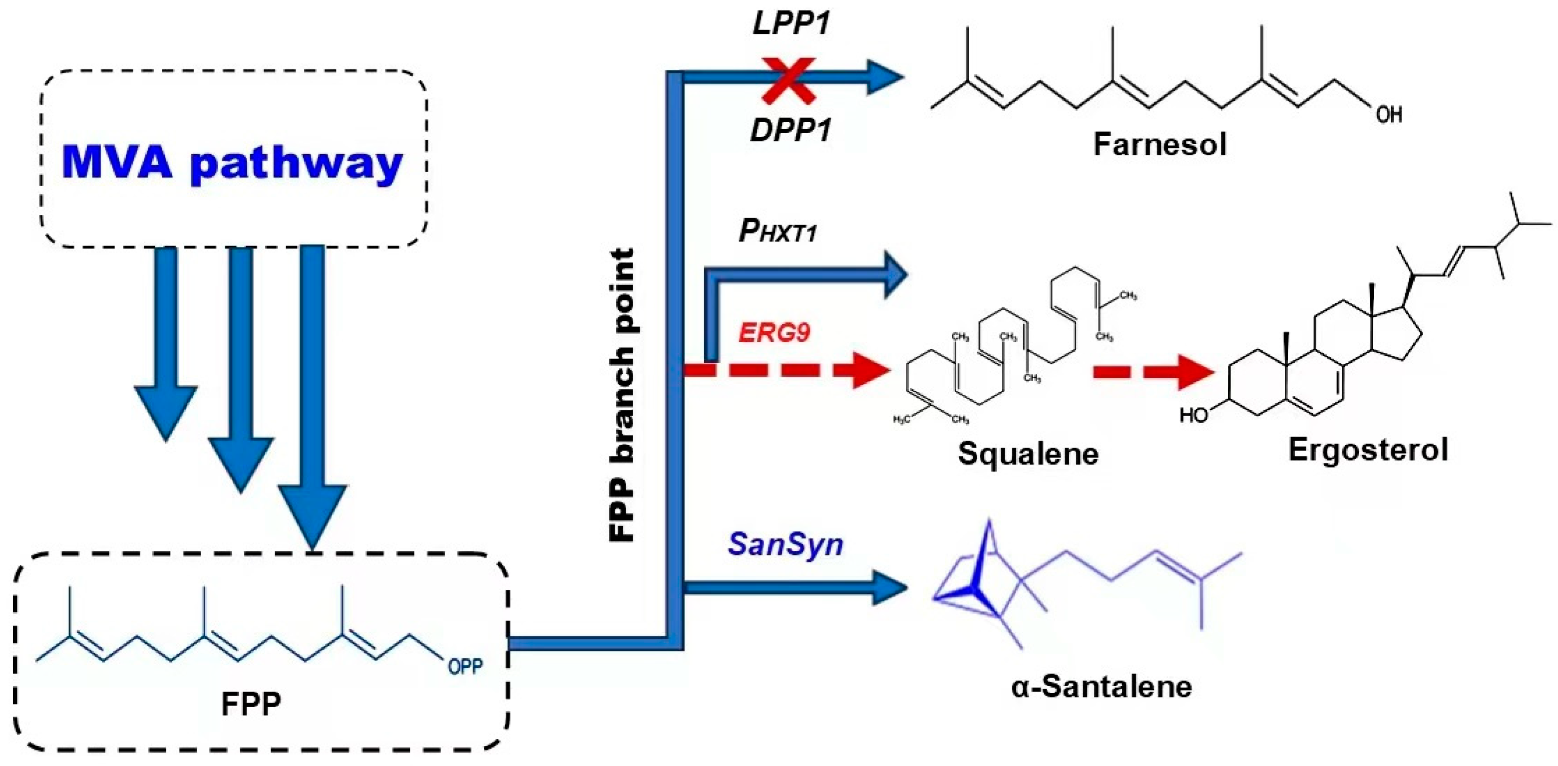 Biomolecules 14 00971 g004