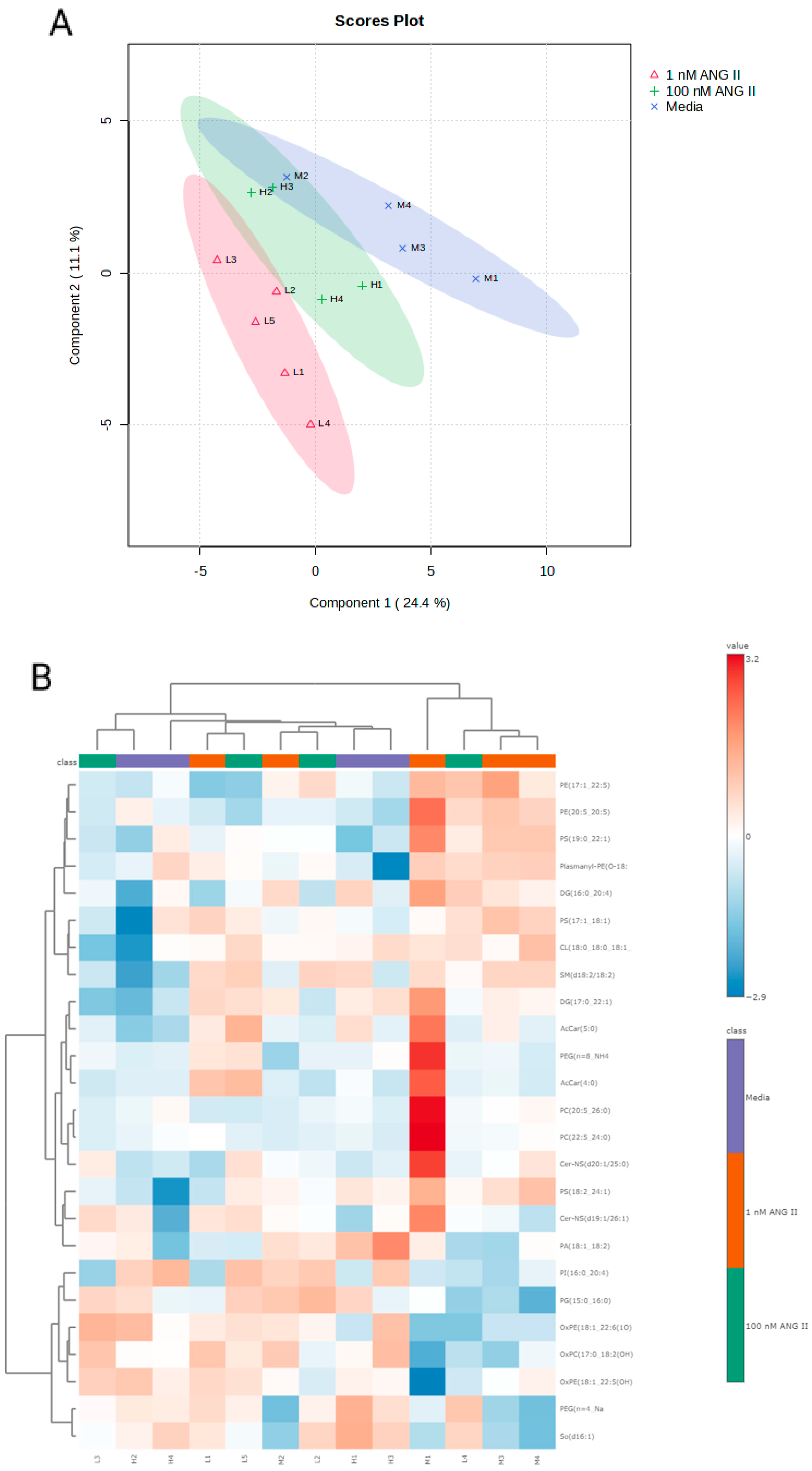Biomolecules 14 00974 g006