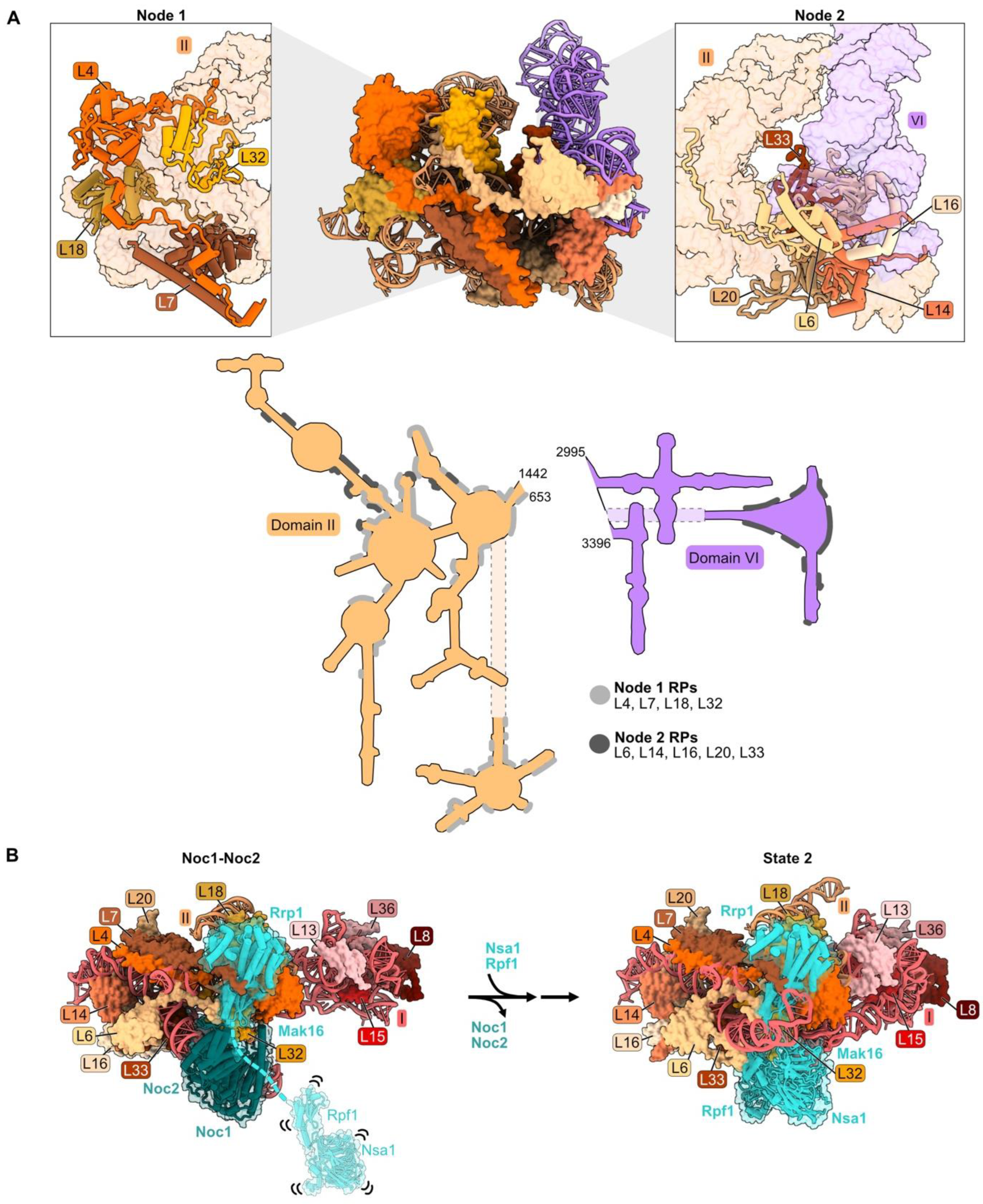 Biomolecules 14 00975 g003a Biomolecules 14 00975 g003a