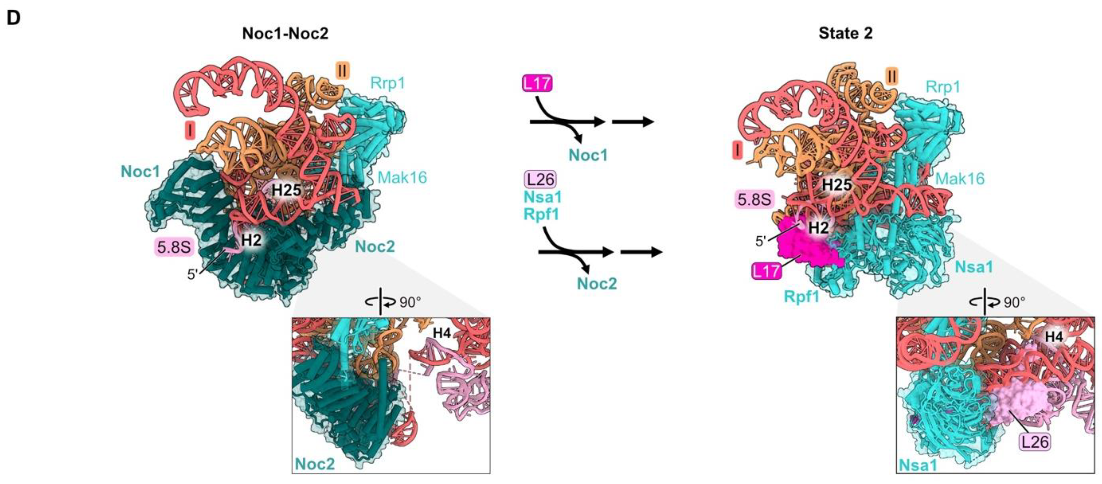 Biomolecules 14 00975 g004b Biomolecules 14 00975 g004b