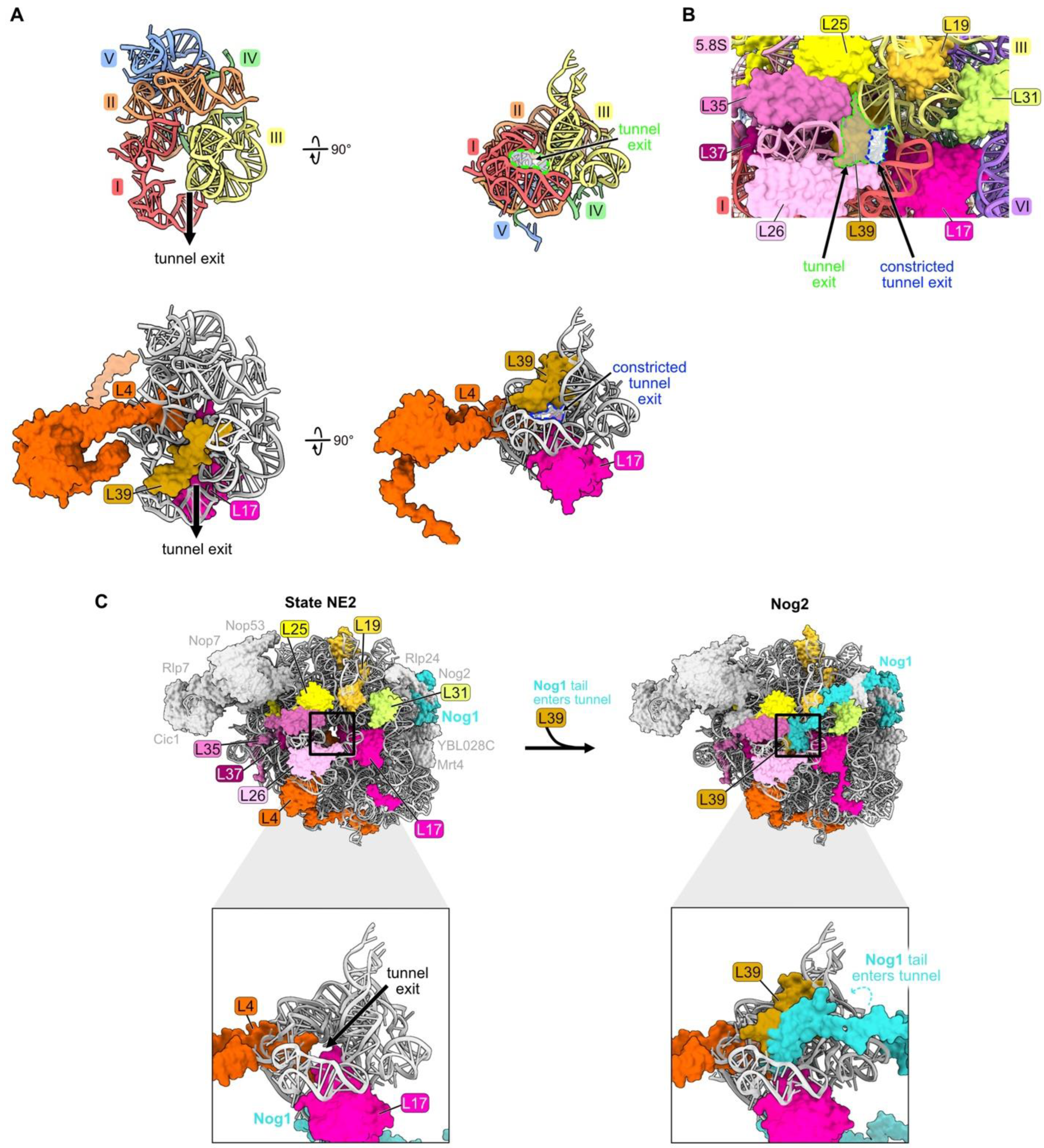 Biomolecules 14 00975 g009 Biomolecules 14 00975 g009