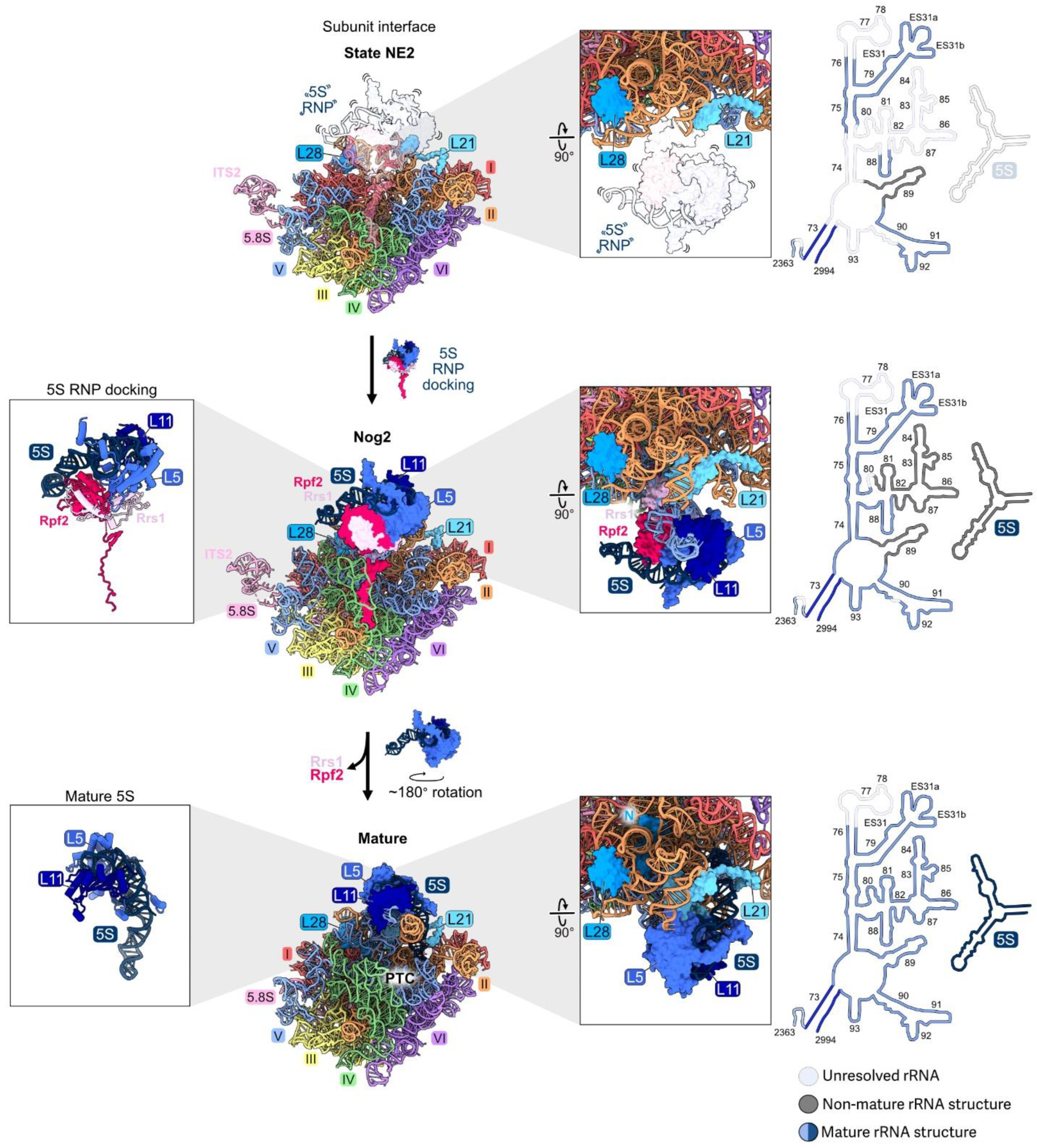 Biomolecules 14 00975 g010 Biomolecules 14 00975 g010