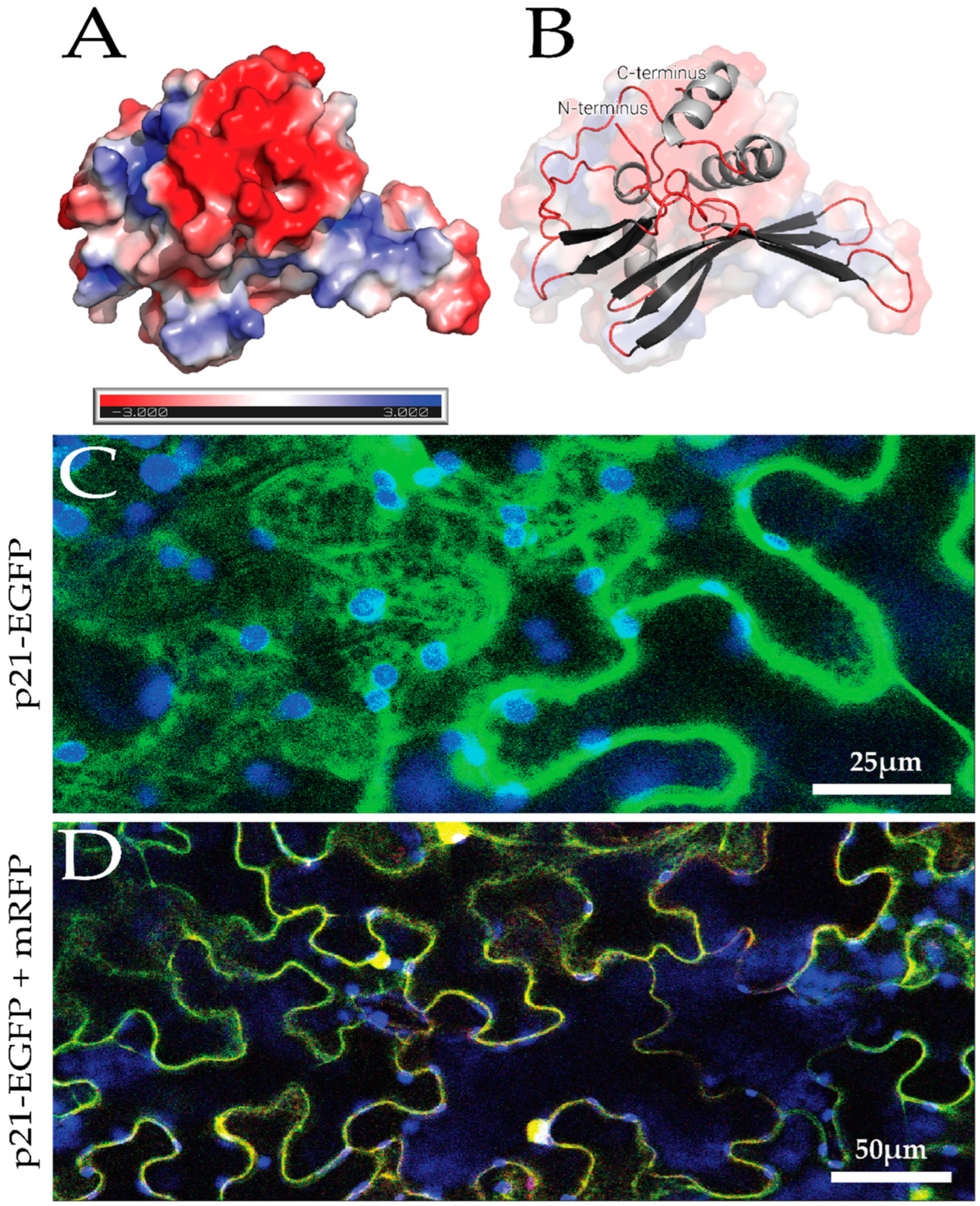 Biomolecules 14 00977 g002 Biomolecules 14 00977 g002