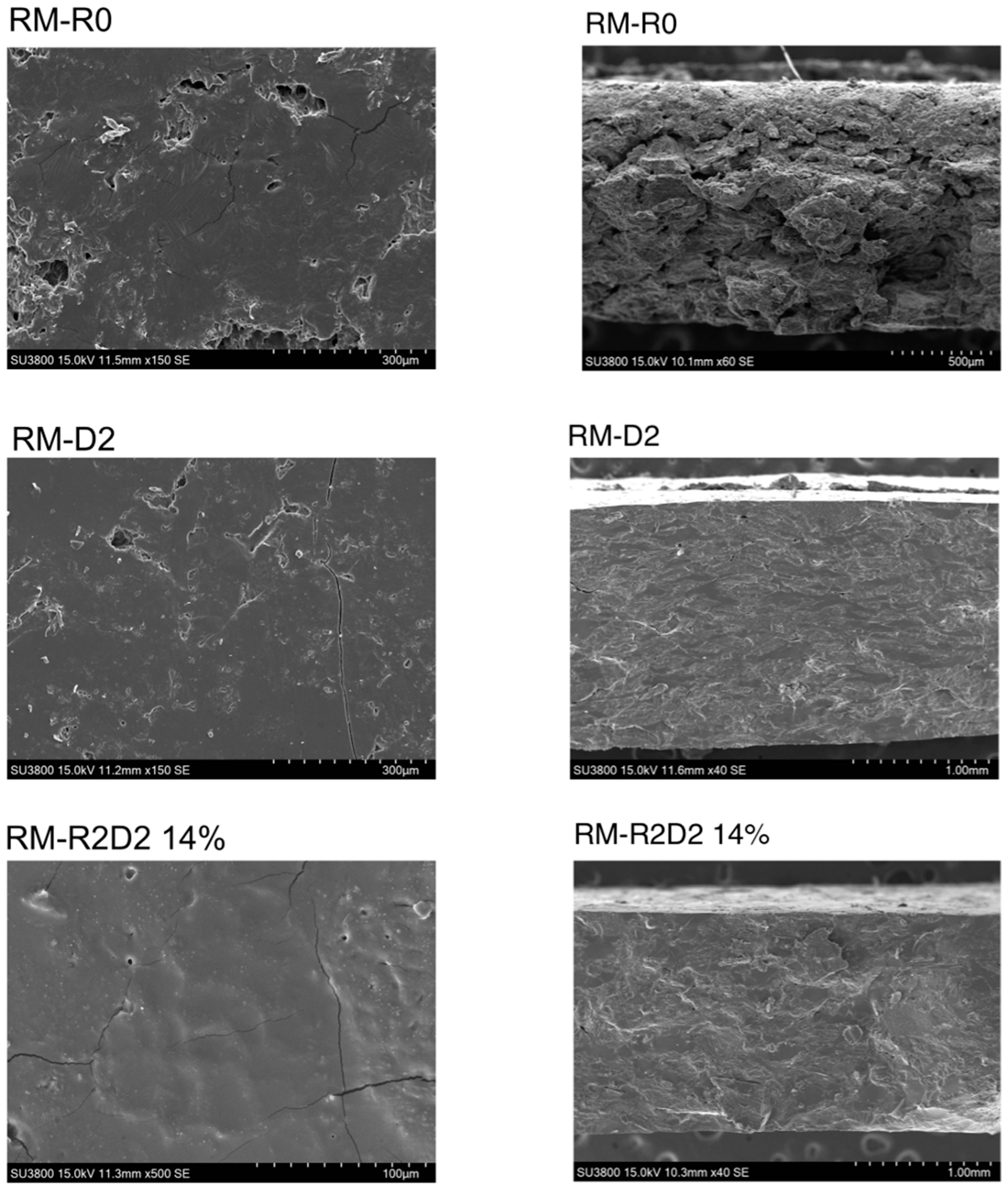 Biomolecules 14 00982 g005