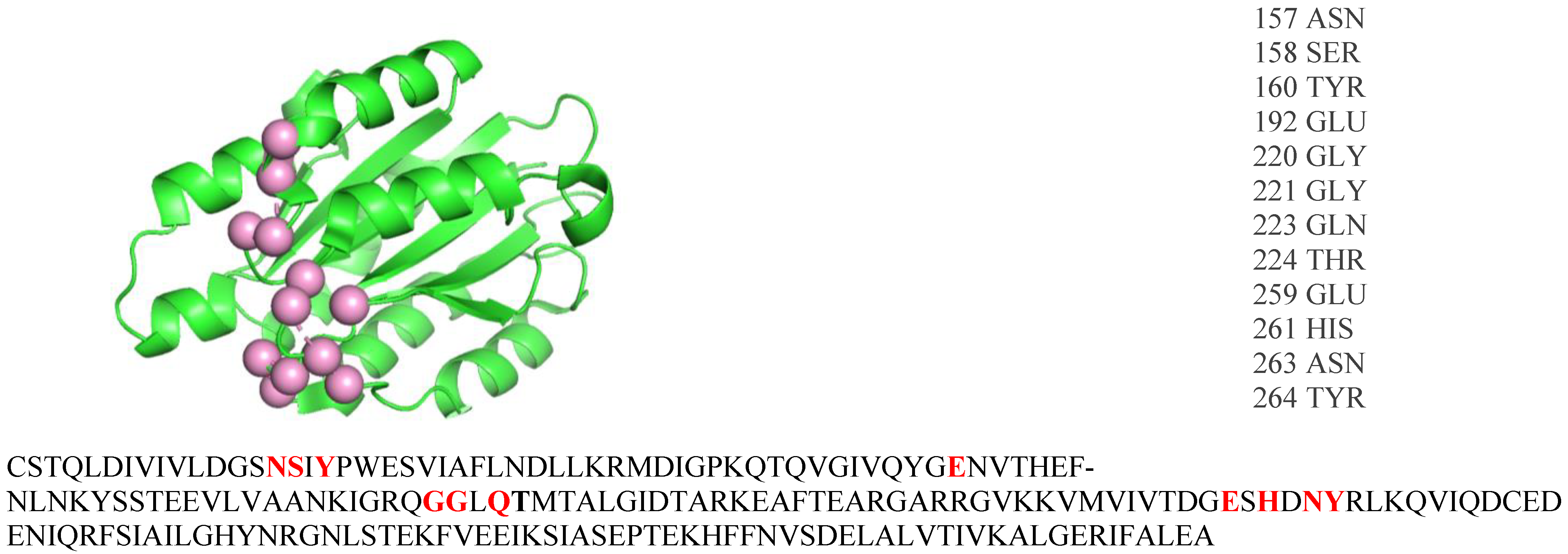 Biomolecules 14 00983 g002