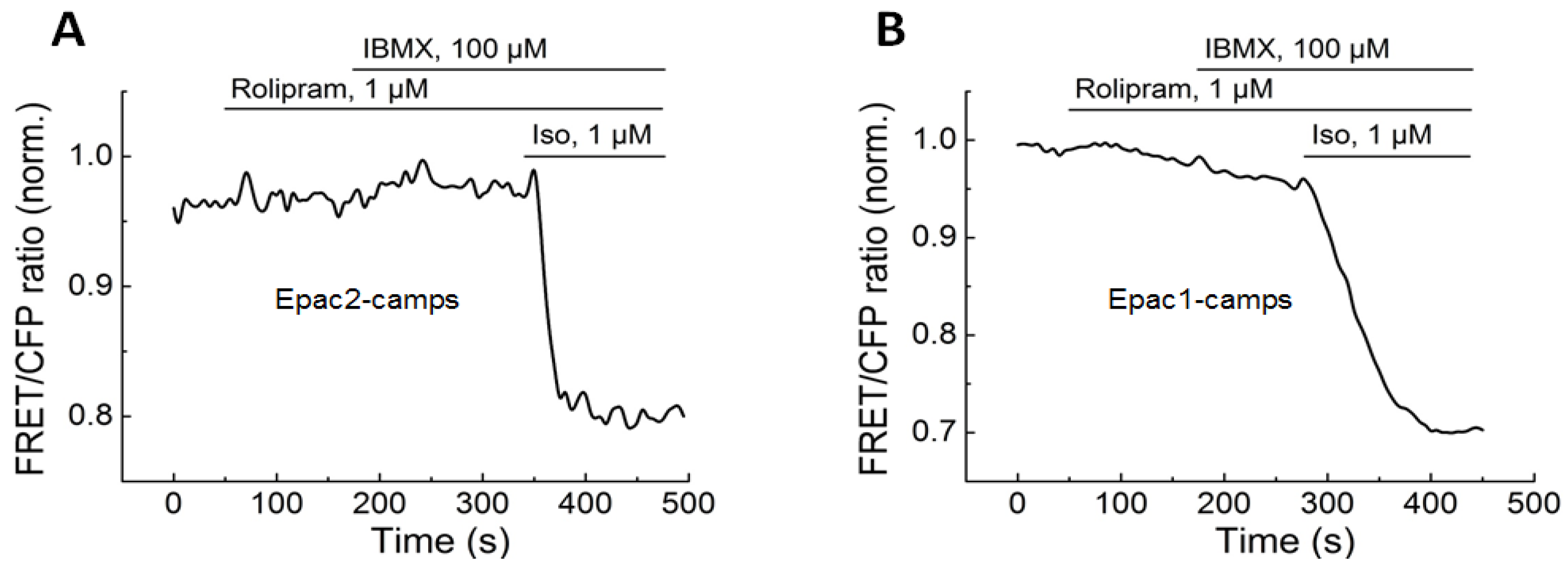 Biomolecules 14 00985 g0a2