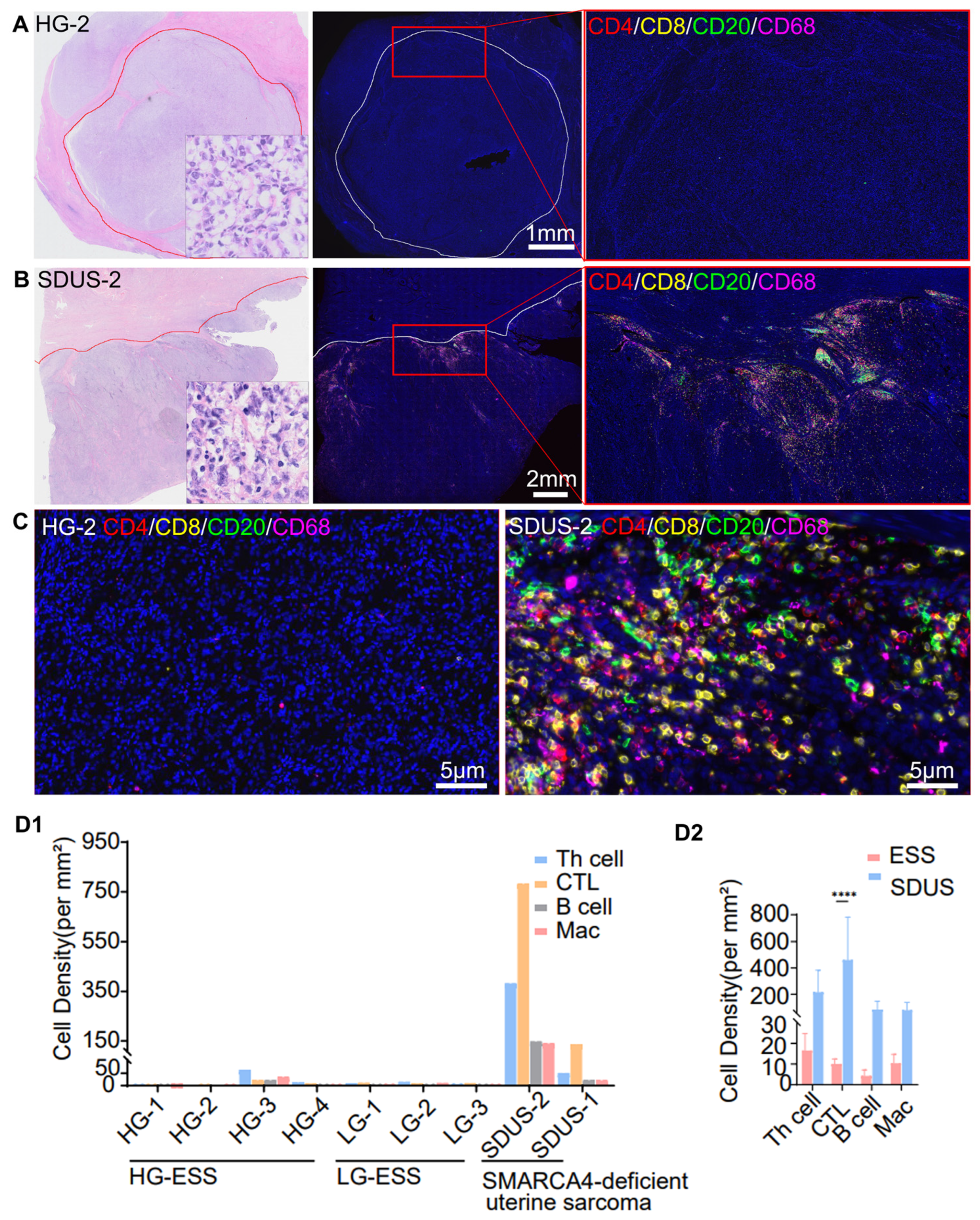 Biomolecules 14 00987 g001